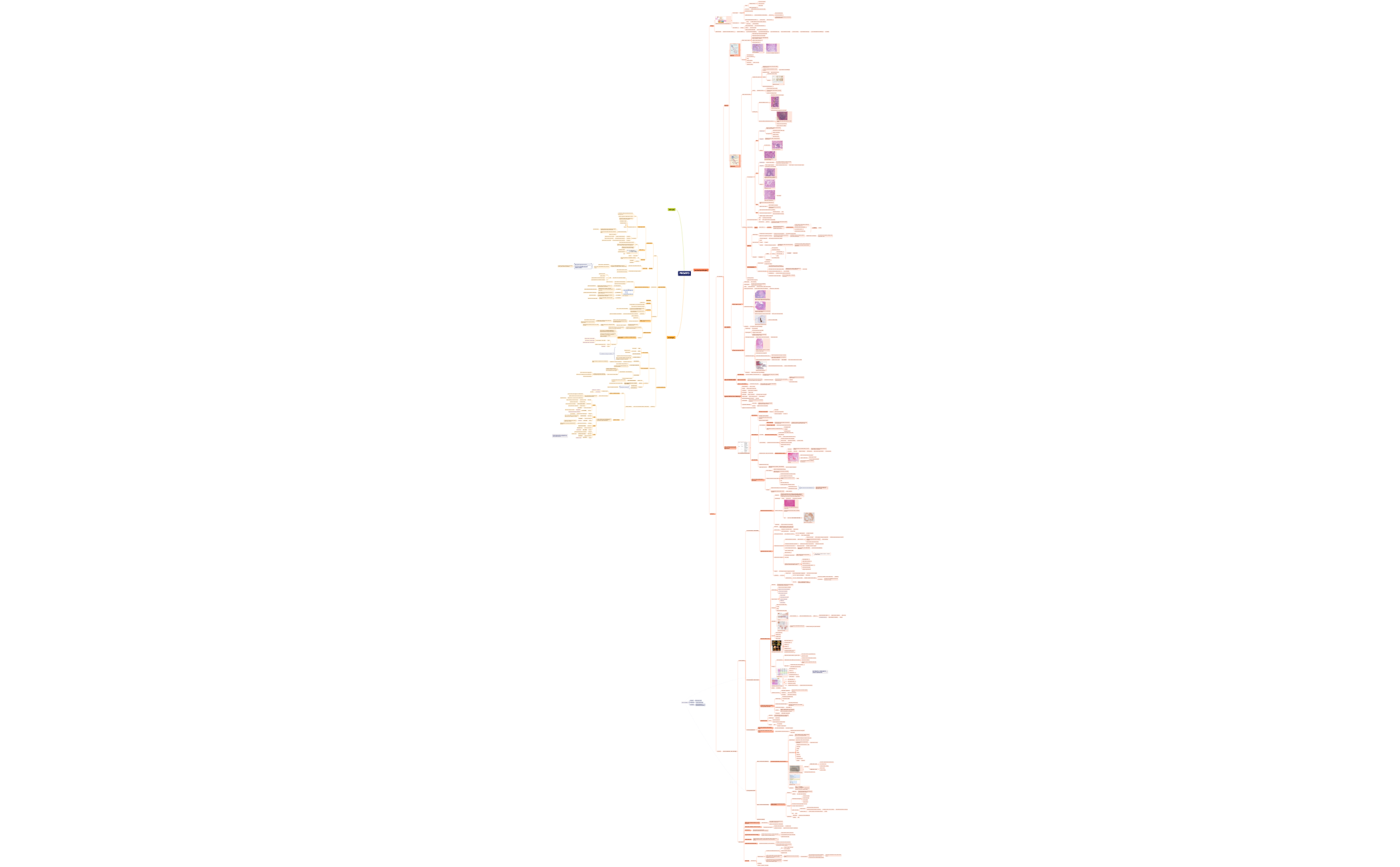 Mappa mentale preview 1