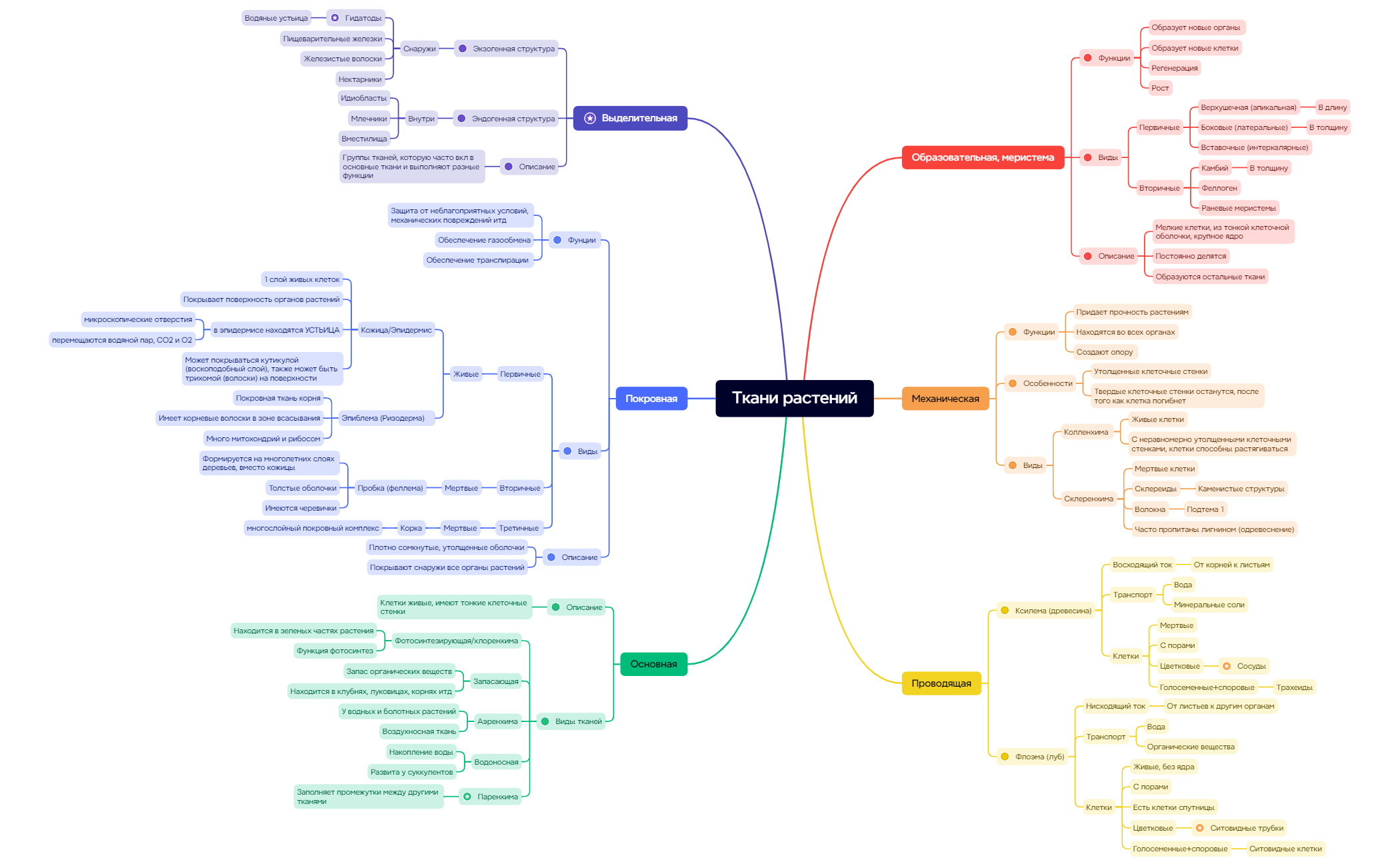 Ментальная карта preview 1