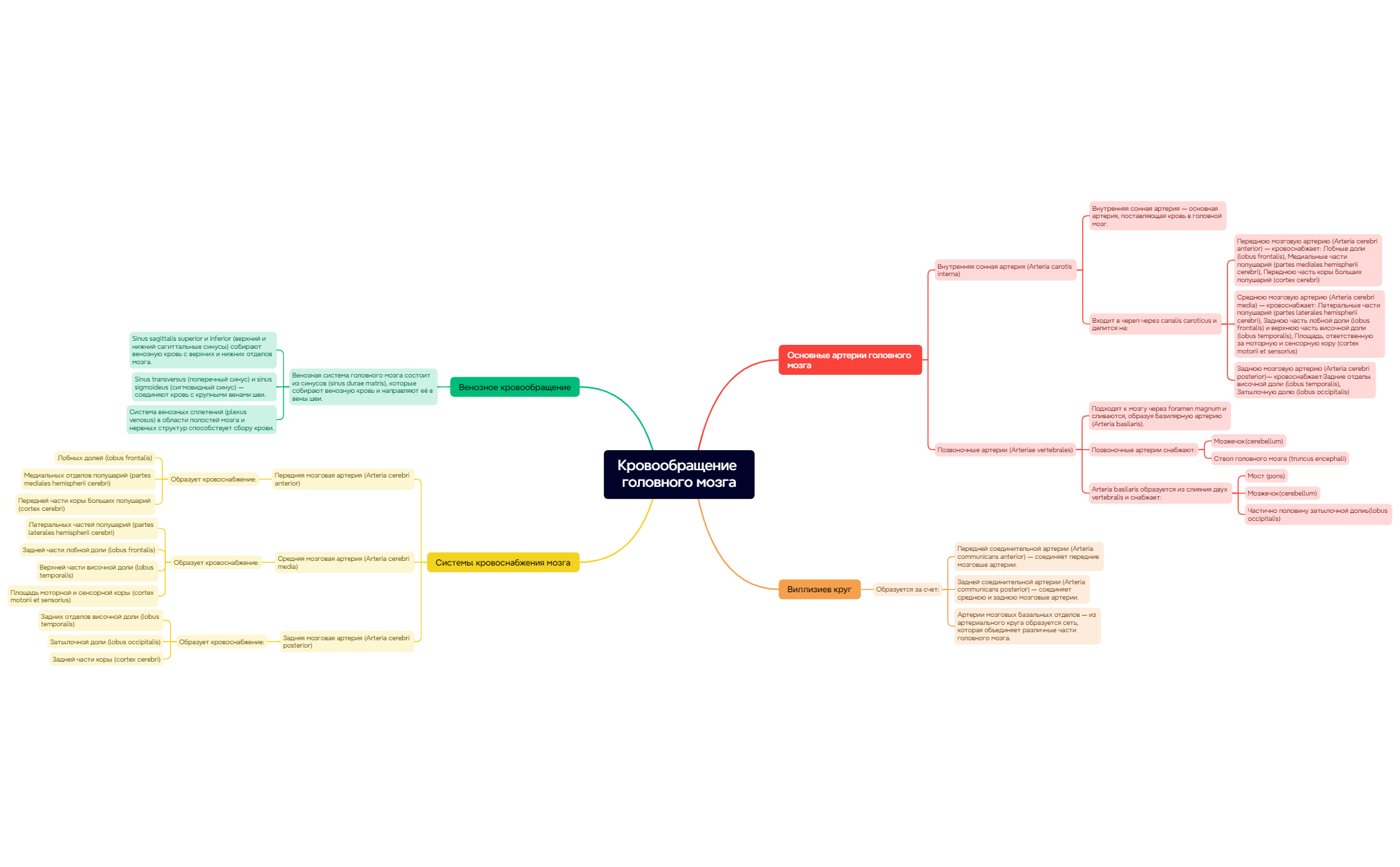 Кровоснабжение головного мозга preview 1