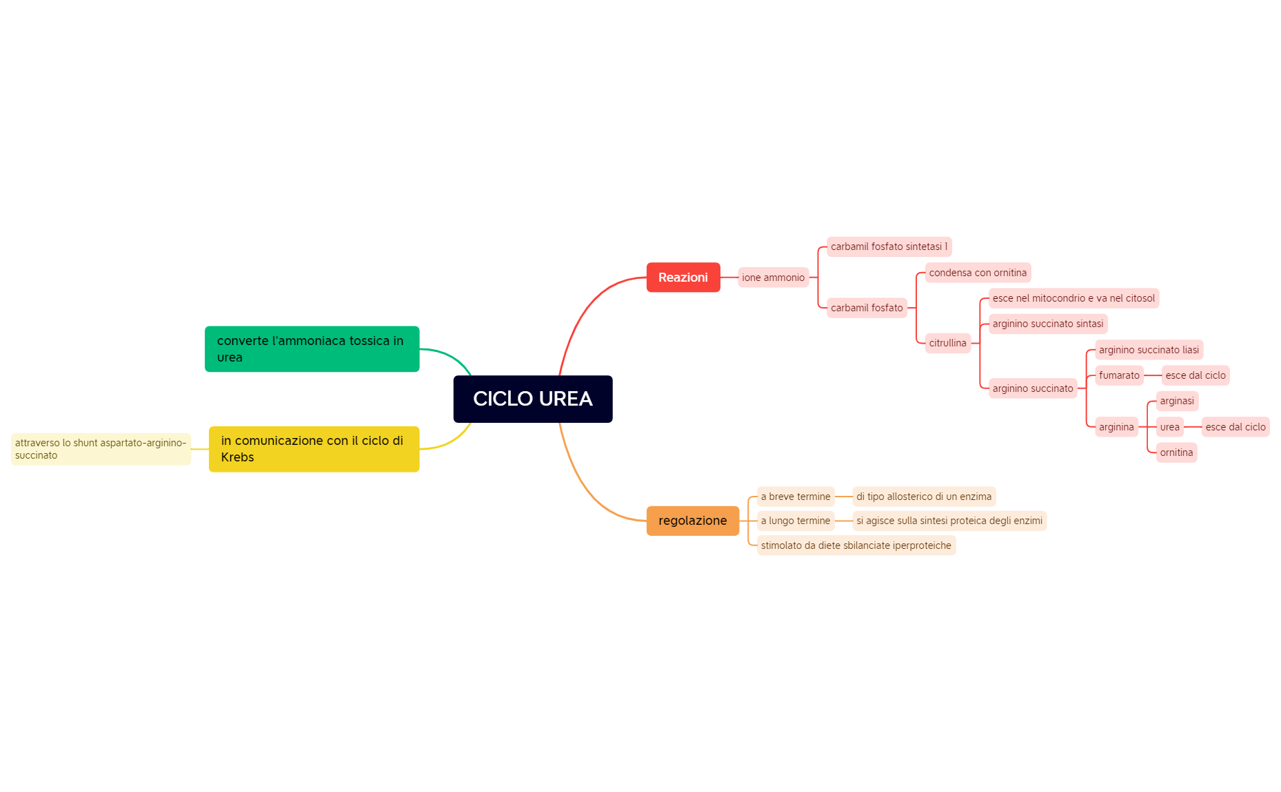 CICLO UREA.xmind preview 1