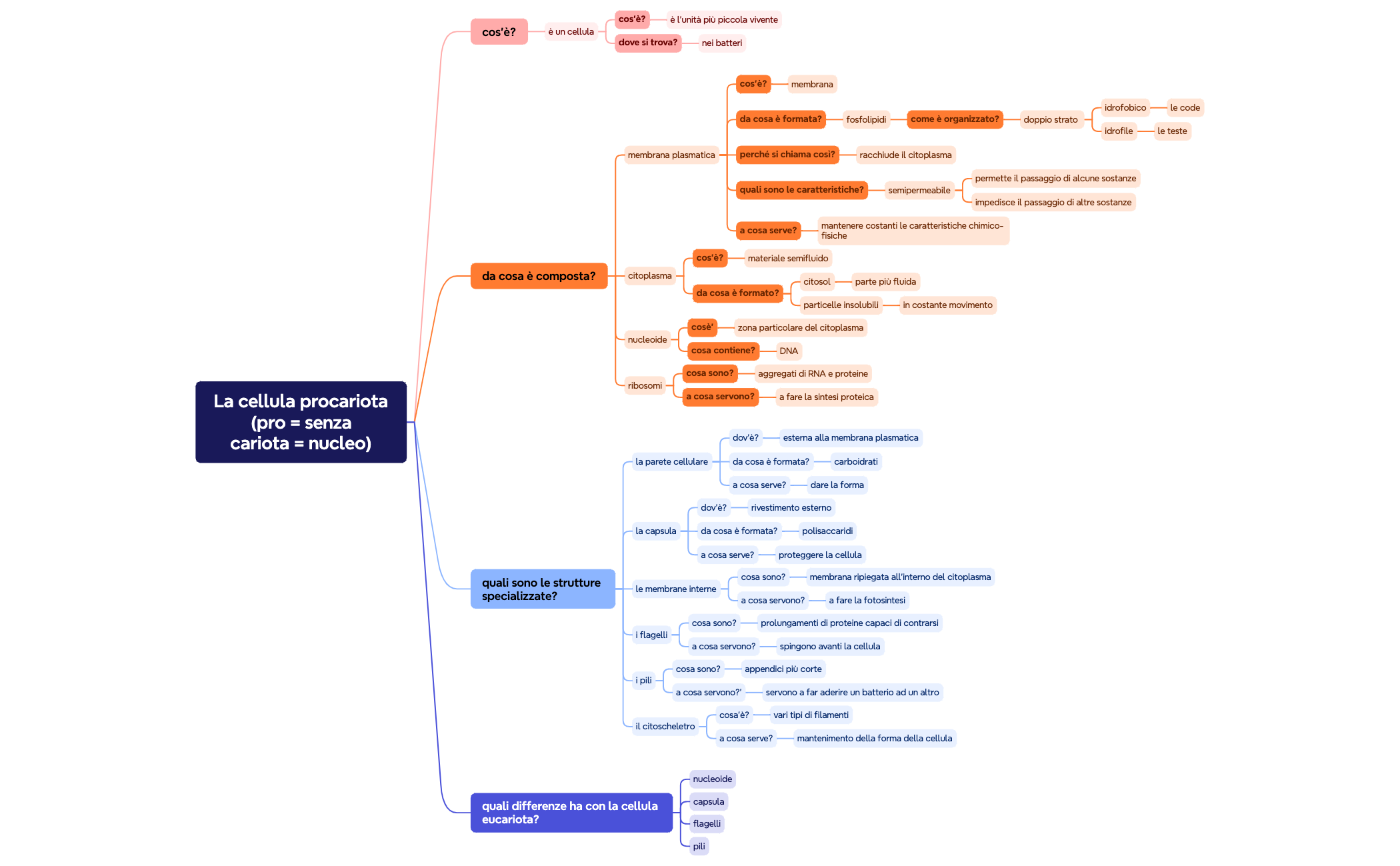 Grafico logico preview 1