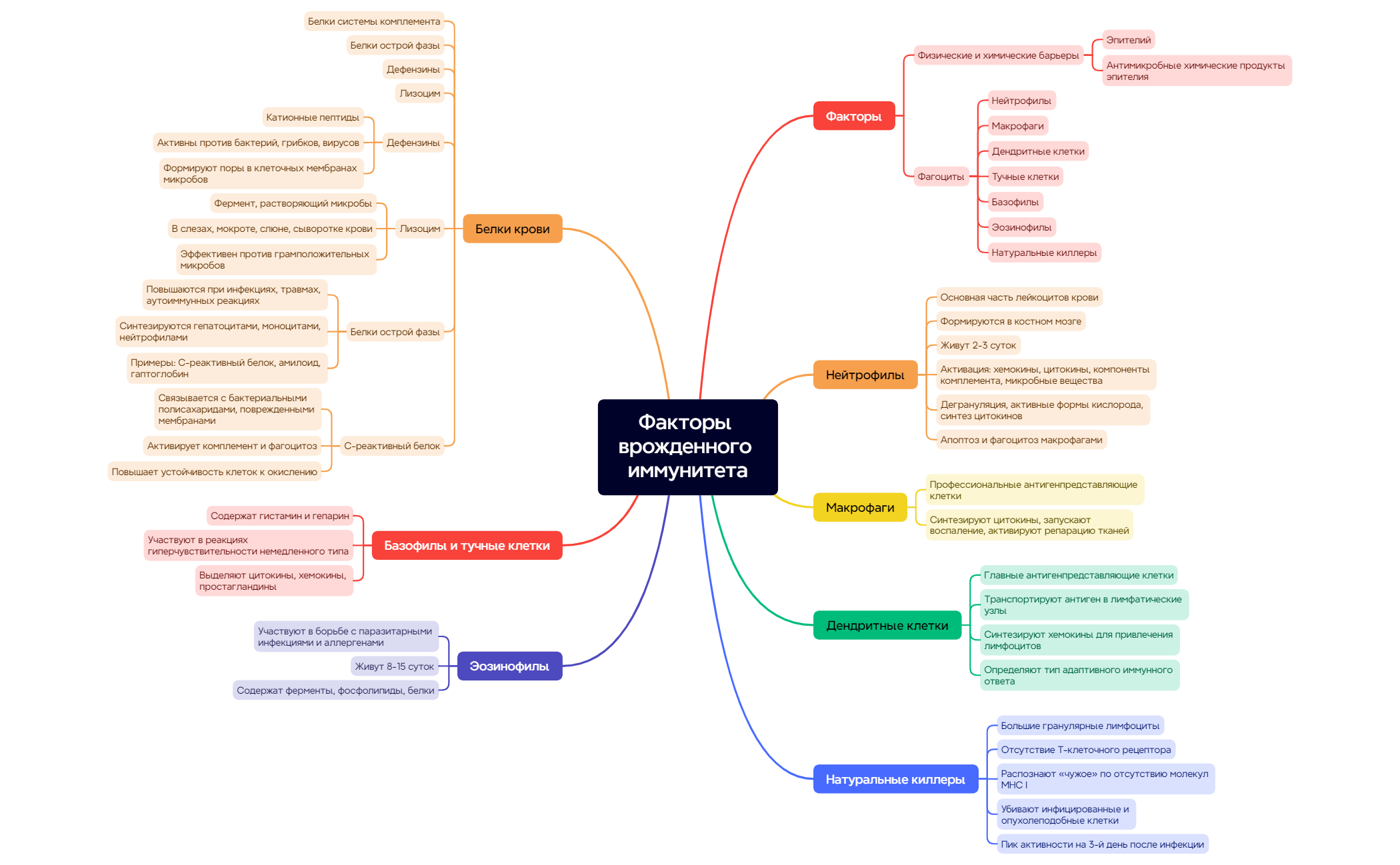 Клеточные и гуморальные факторы врожденного иммунитета preview 1