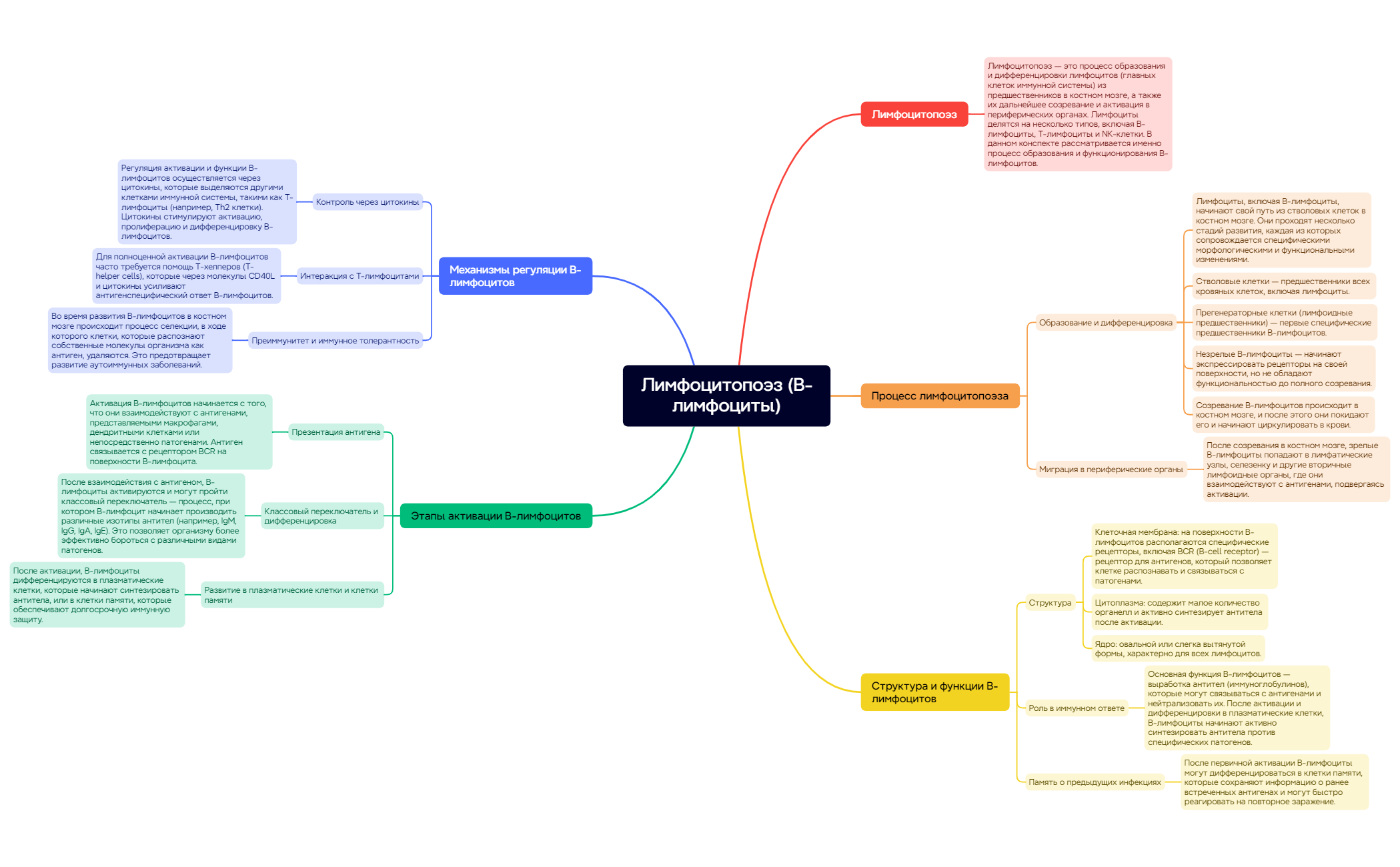 Лимфоцитопоэз (В-лимфоциты) preview 1