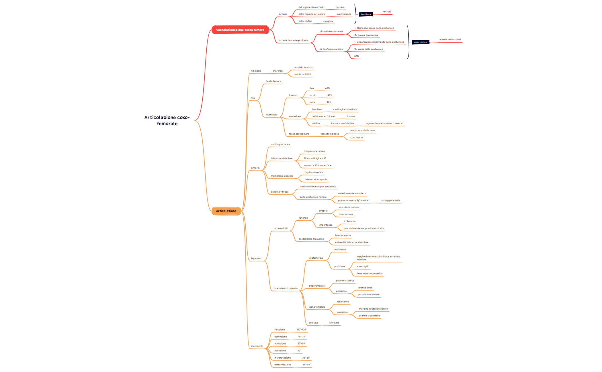 Articolazione coxo-femorale preview 1