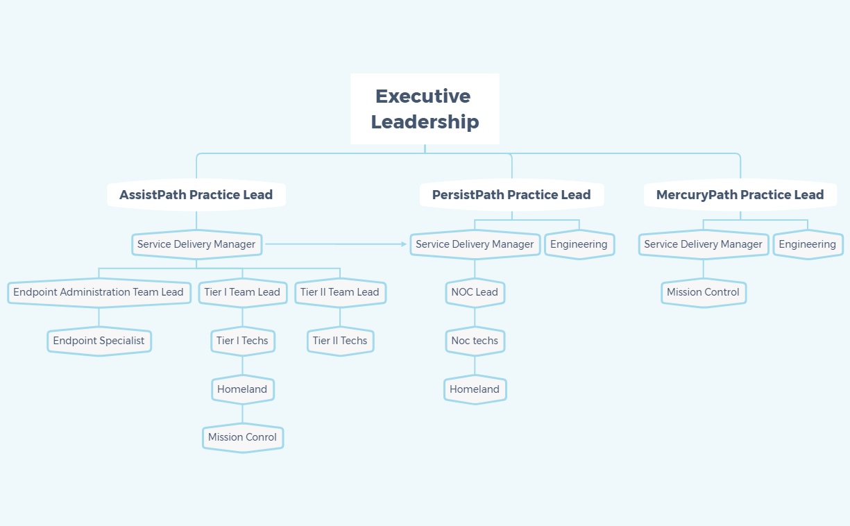 Org Chart AP - XMind Template