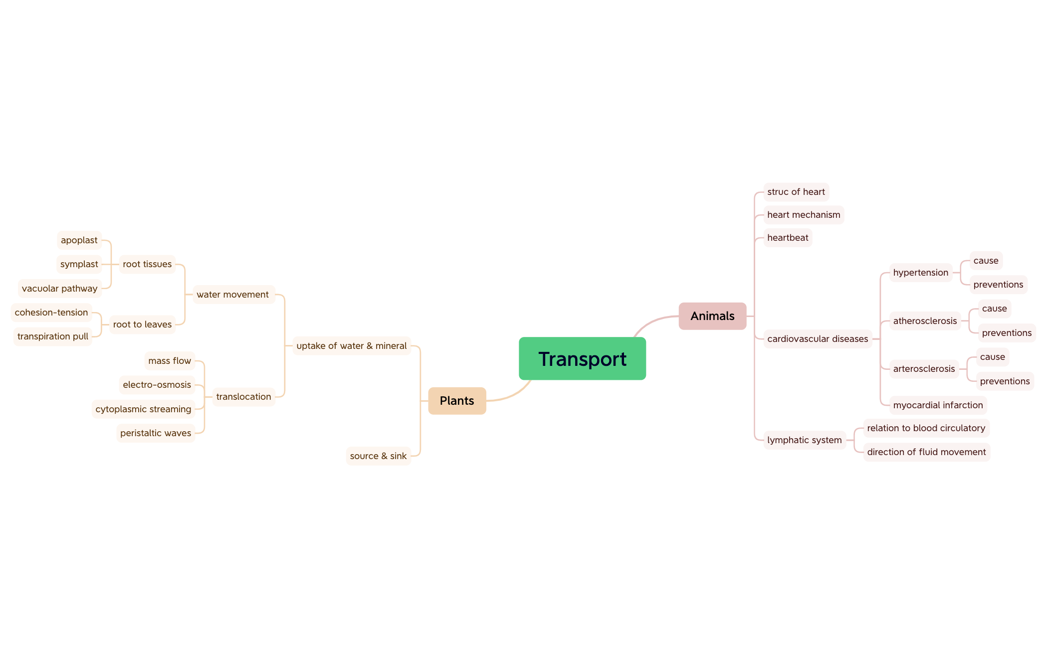 BIO SEM2 C8 Transport preview 1