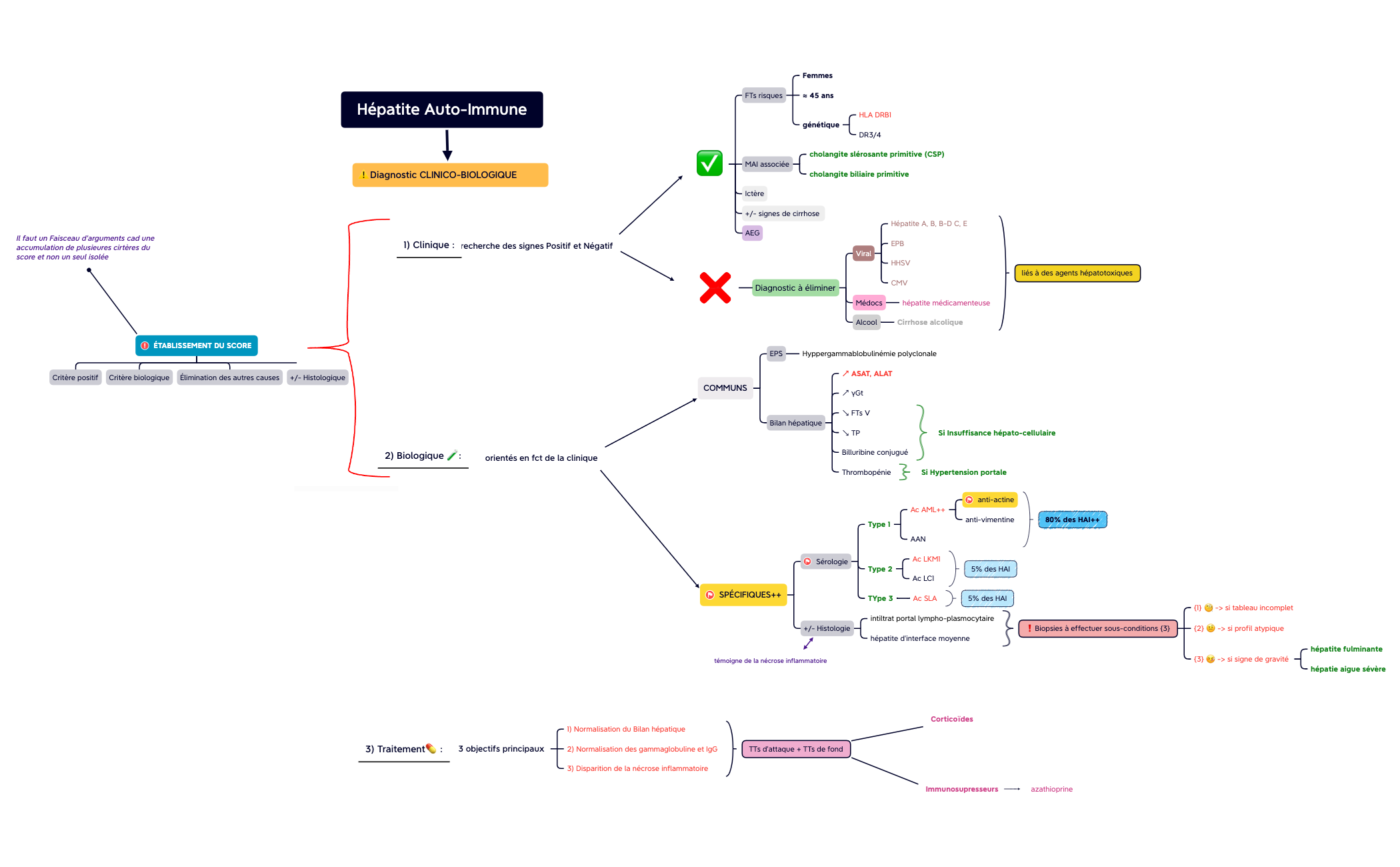 Hépatite Auto-Immune preview 1