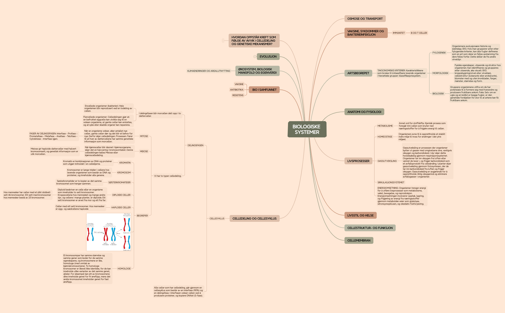 Mind Map preview 1
