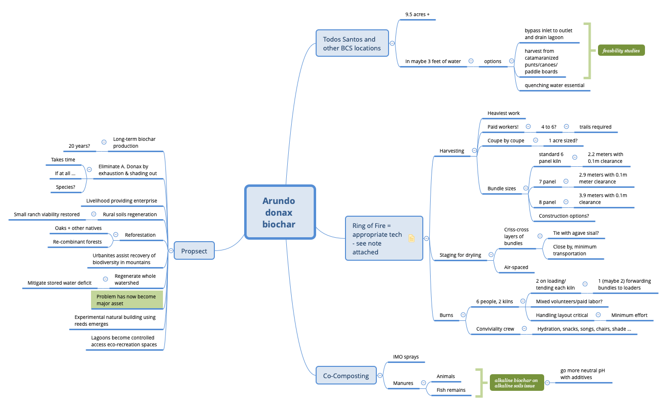 Arundo donax biochar preview 1