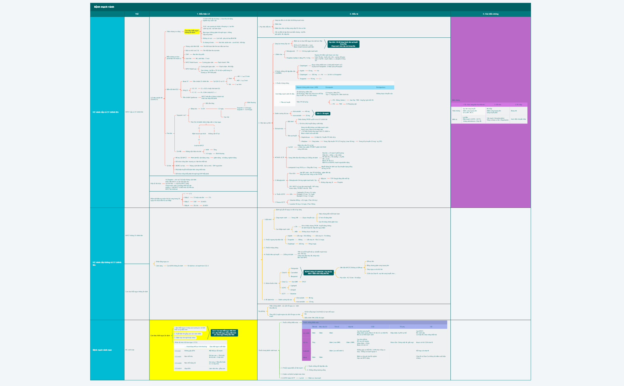 BỆNH MẠCH VÀNH  preview 1