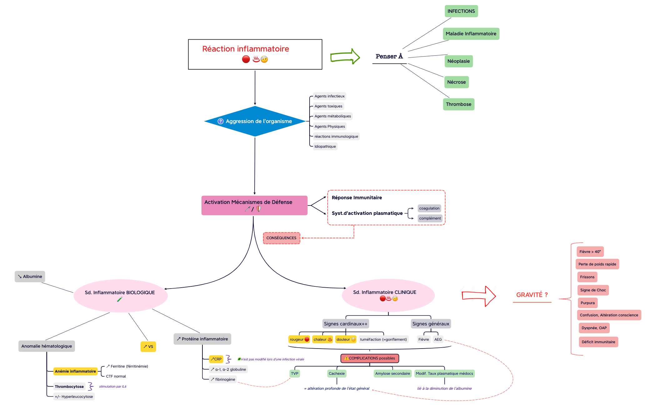 Réaction inflammatoire preview 1