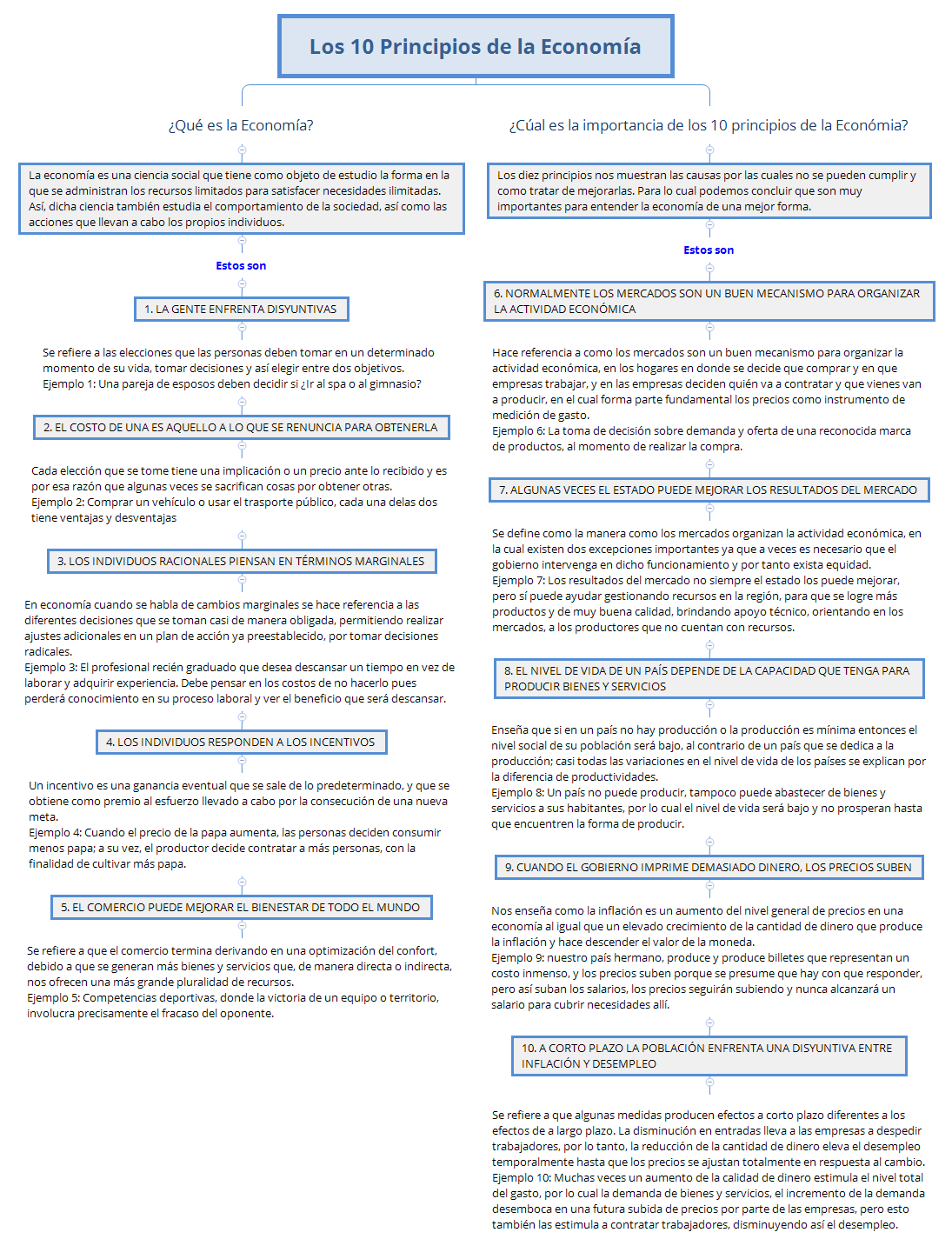 Los 10 Principios de la Economía preview 1