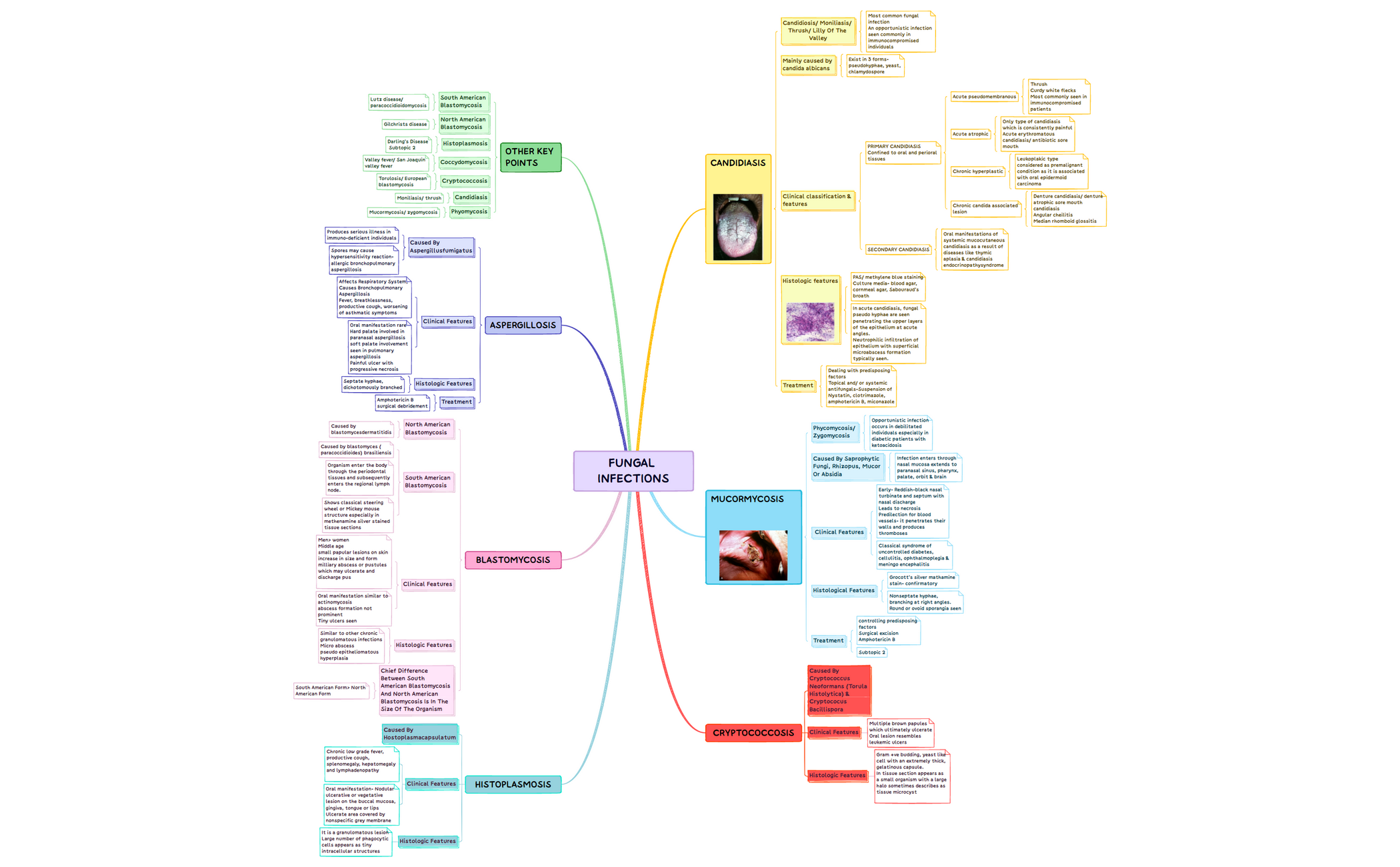 Template Mindmap.xmind.xmind preview 1