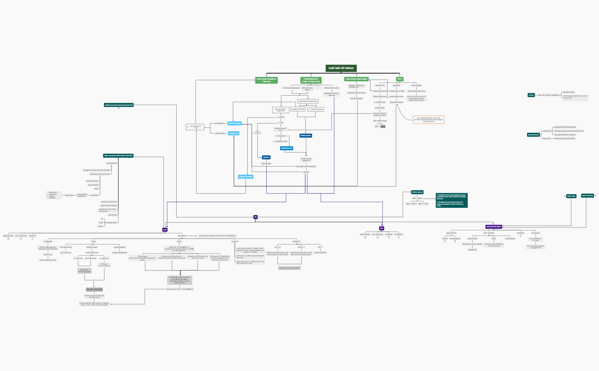 petkon komplikasi dm fixx preview 1