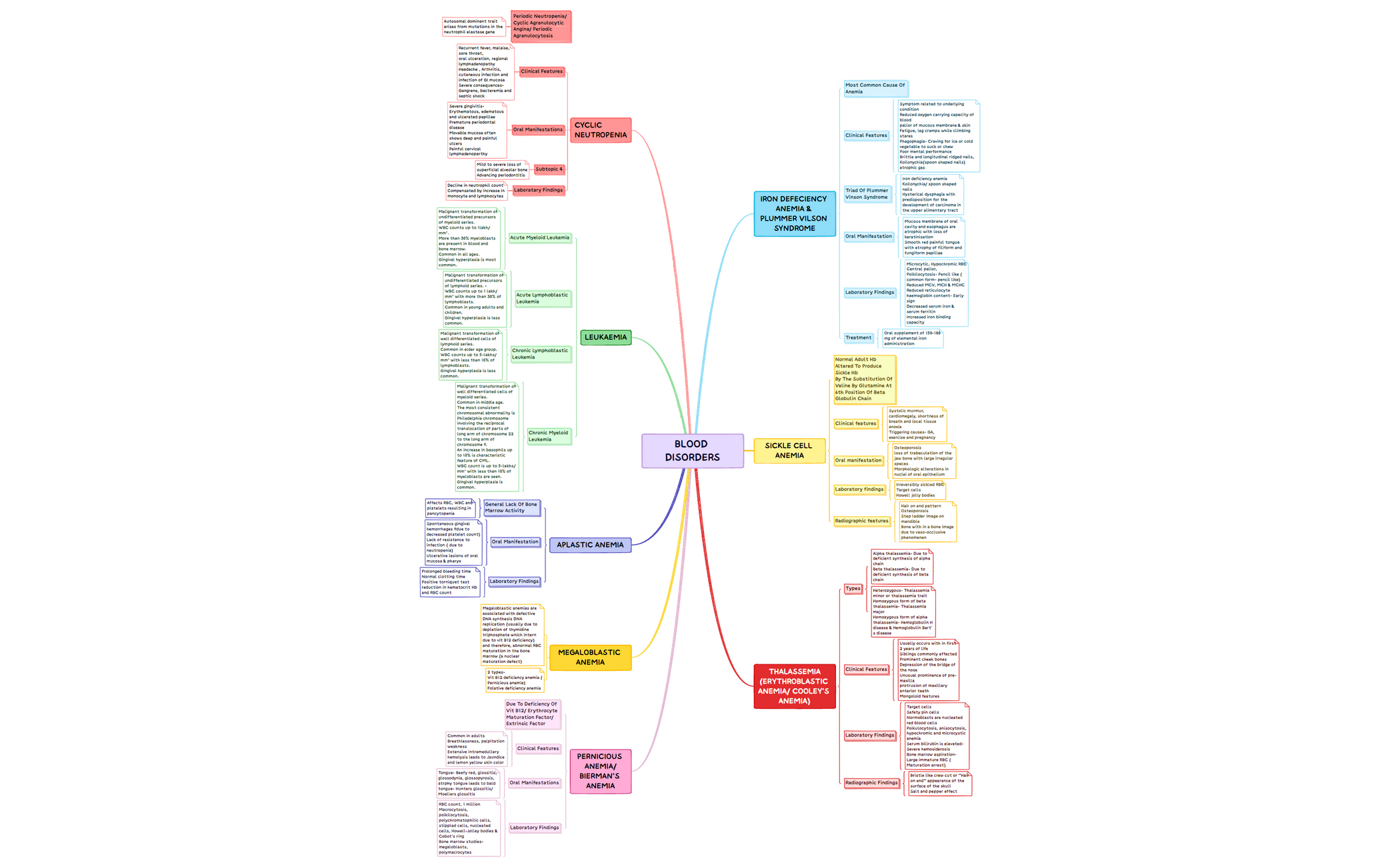 Template Mindmap.xmind.xmind preview 1