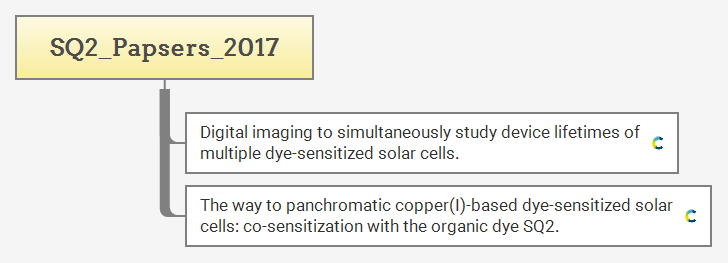 SQ2_Papsers_2017 preview 1