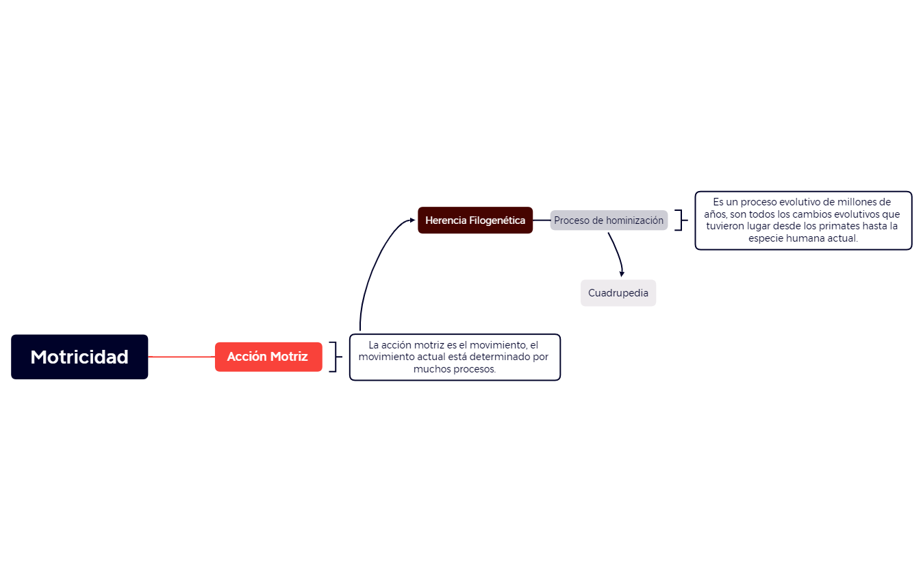 Mapa 1 preview 1