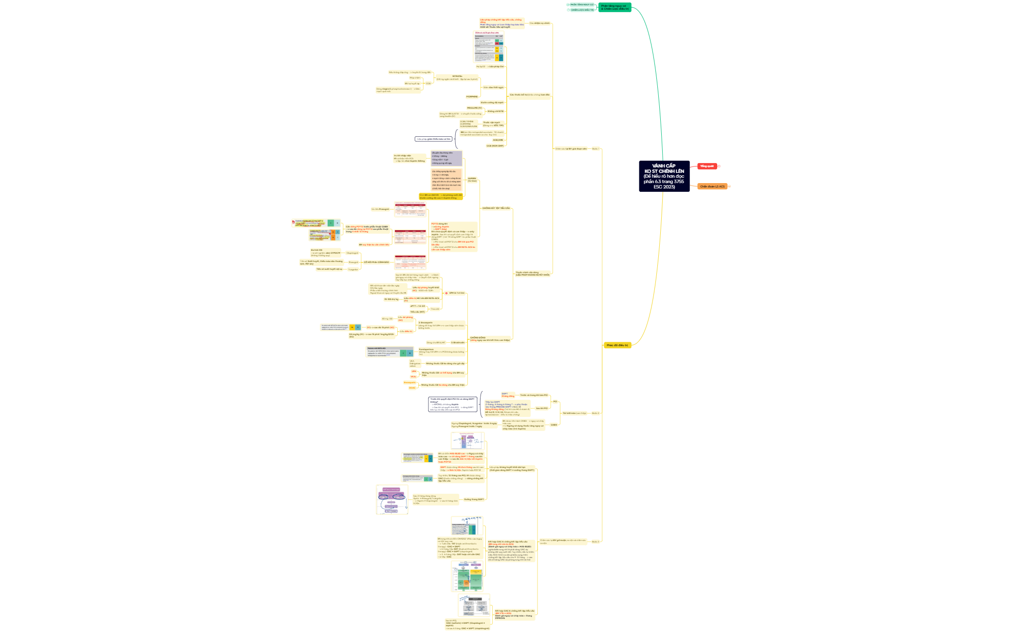 Mind Map - XMind Template
