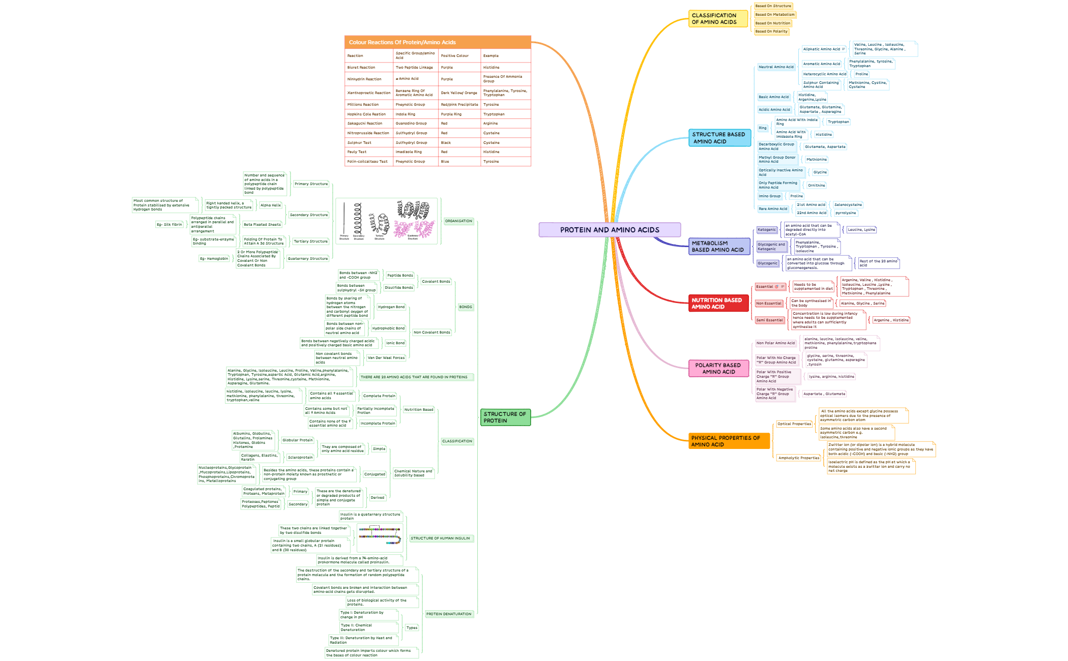 PROTeiN AND AMINO ACIDS preview 1