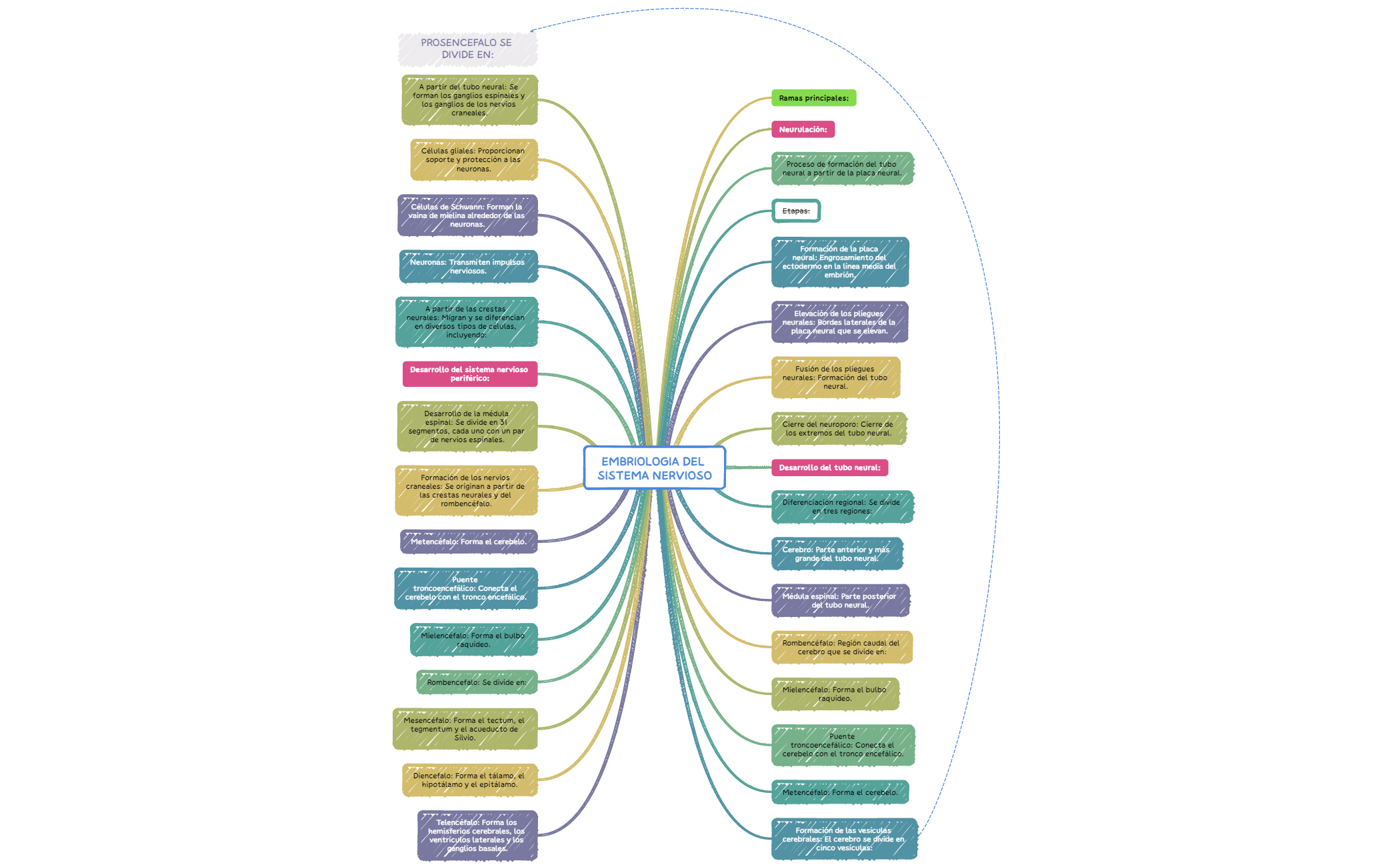 Map - XMind Template