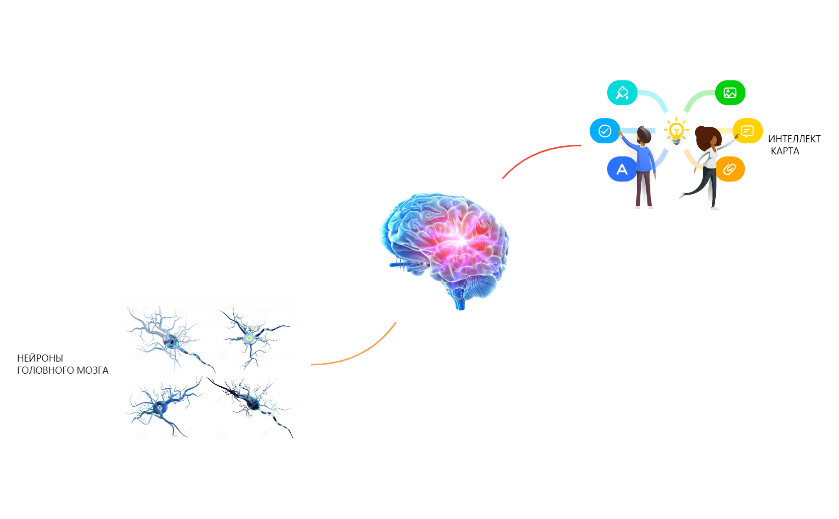 Карта 1 preview 1