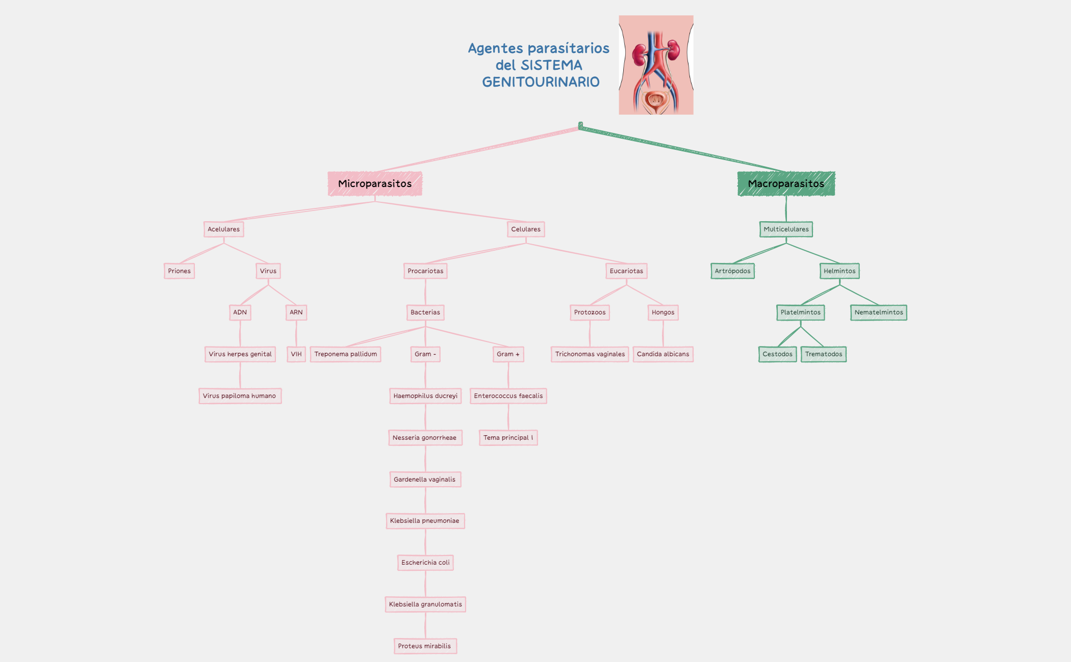 Tomar notas preview 1