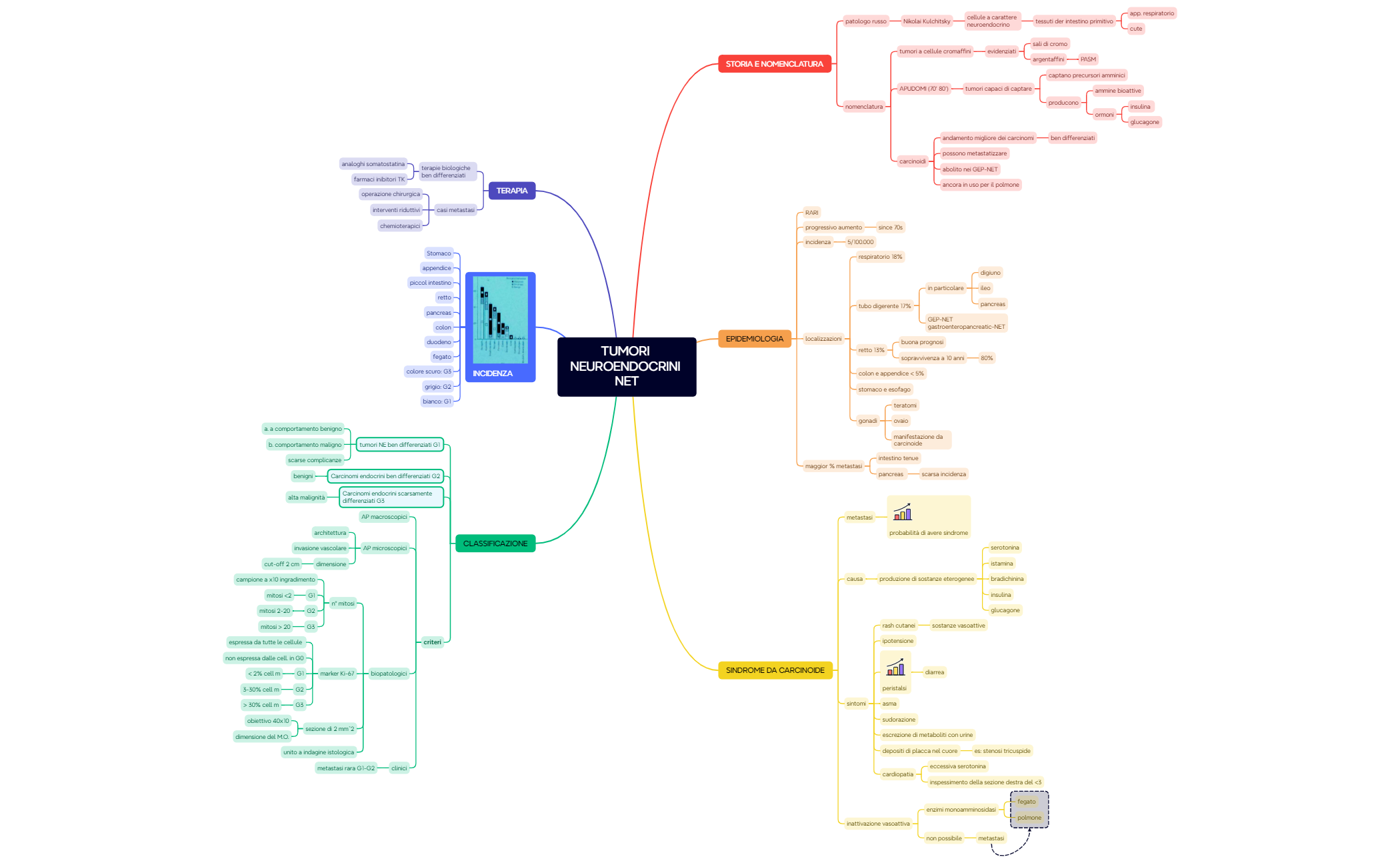 16. TUMORI NEUROENDOCRINI NET preview 1