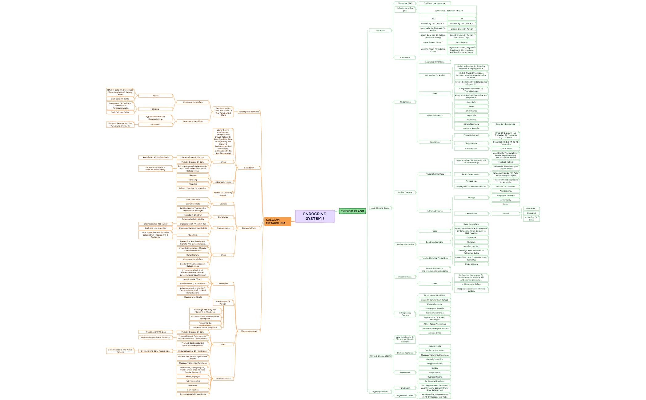 ENDOCRINE system 1 preview 1