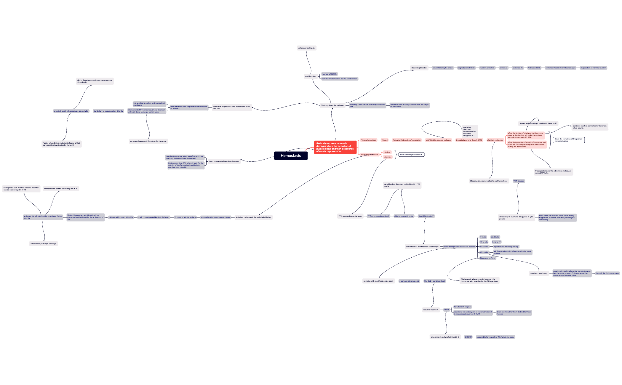 Mind Map - XMind Template