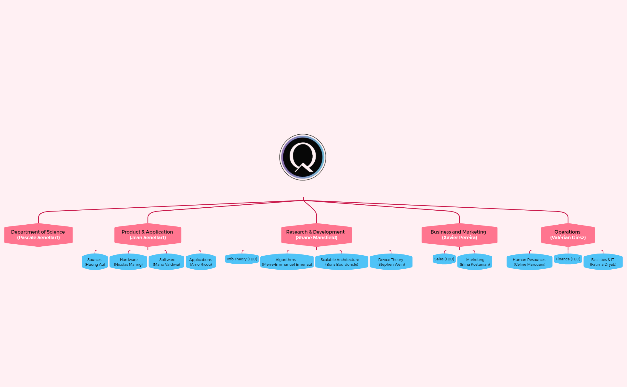 Org Chart - XMind Template