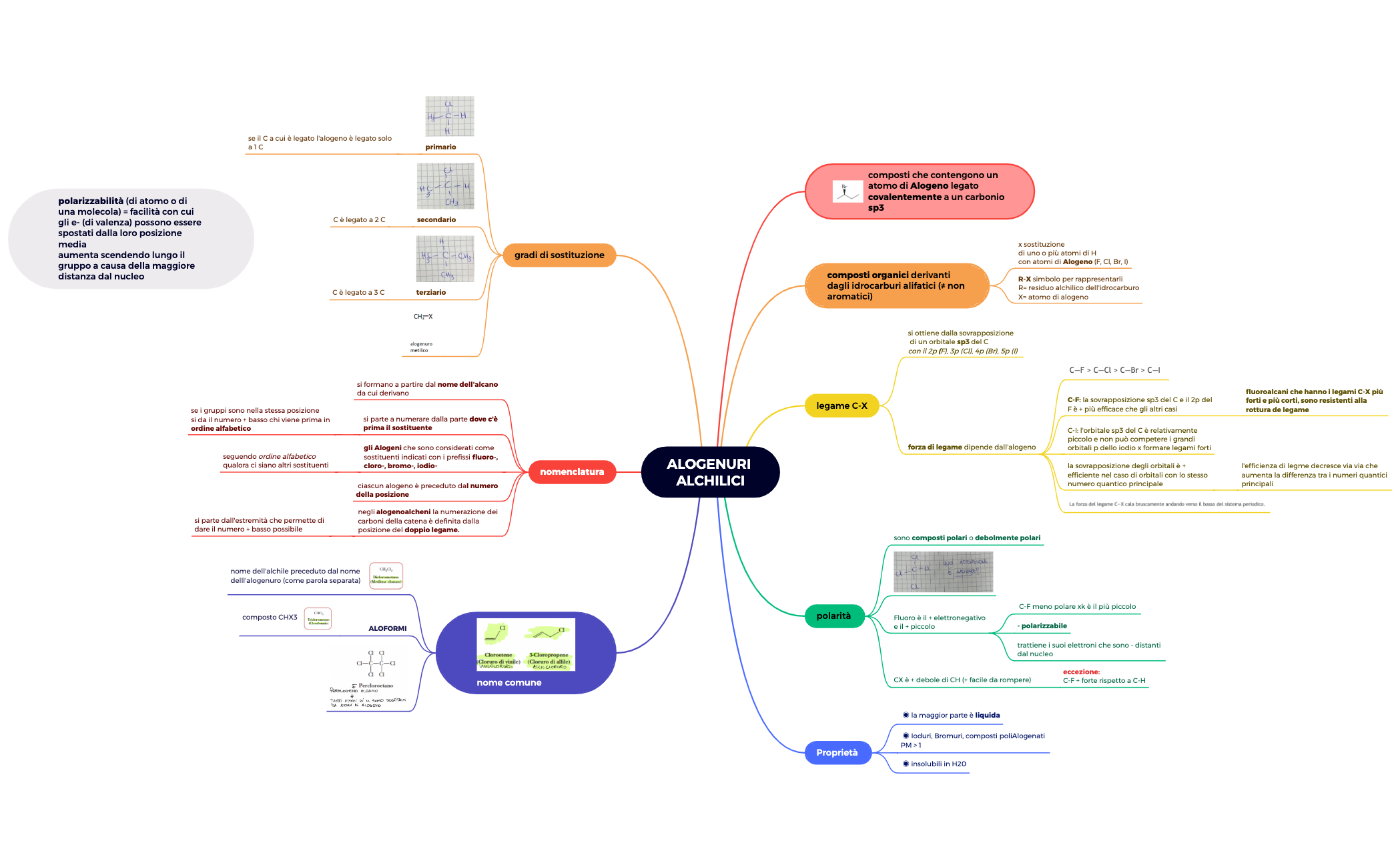 Mappa mentale preview 1