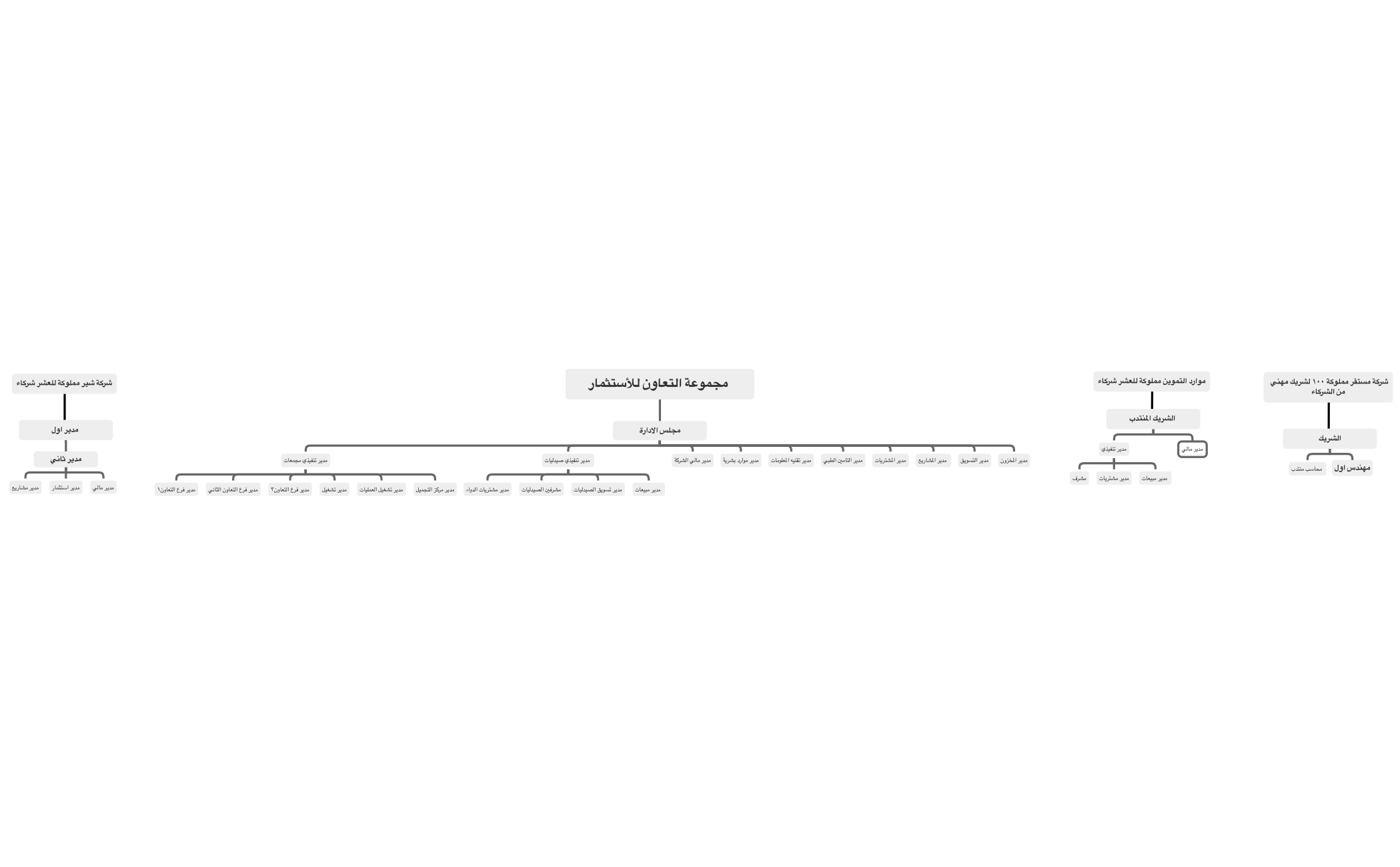 Company Structure - XMind Template