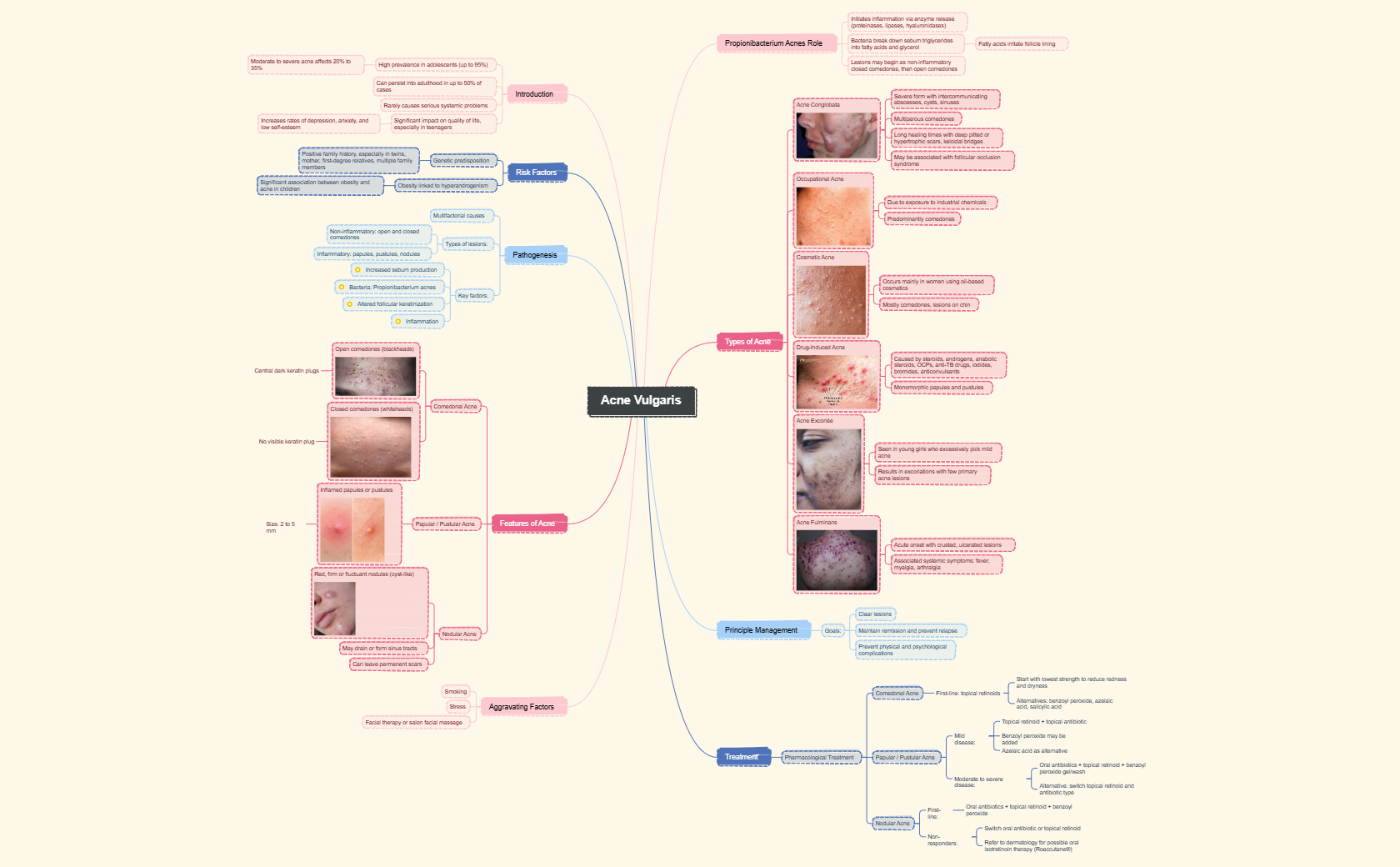 Dermatology: Acne Management