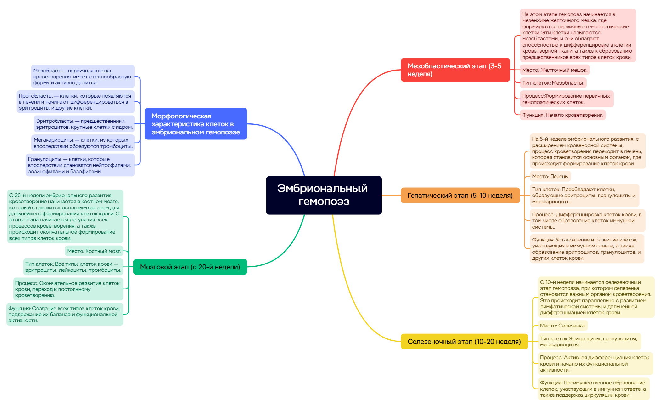 Эмбриональный гемопоэз preview 1