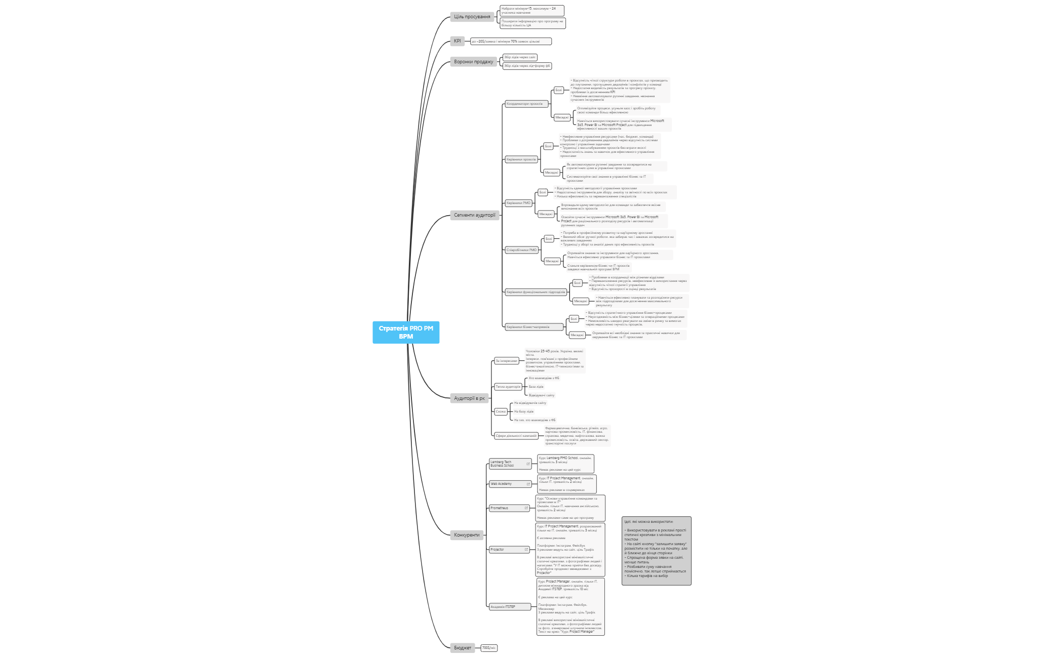 Стратегія PRO PM ВРМ - XMind Template