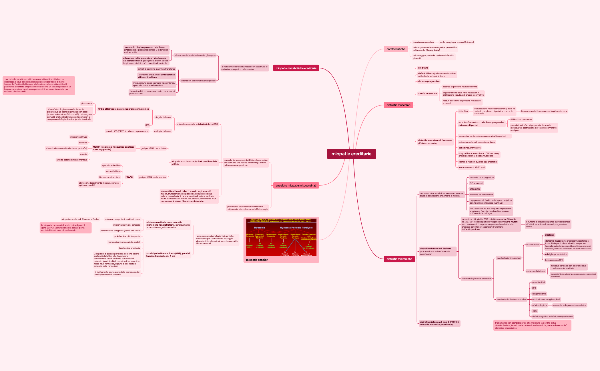 miopatie preview 1