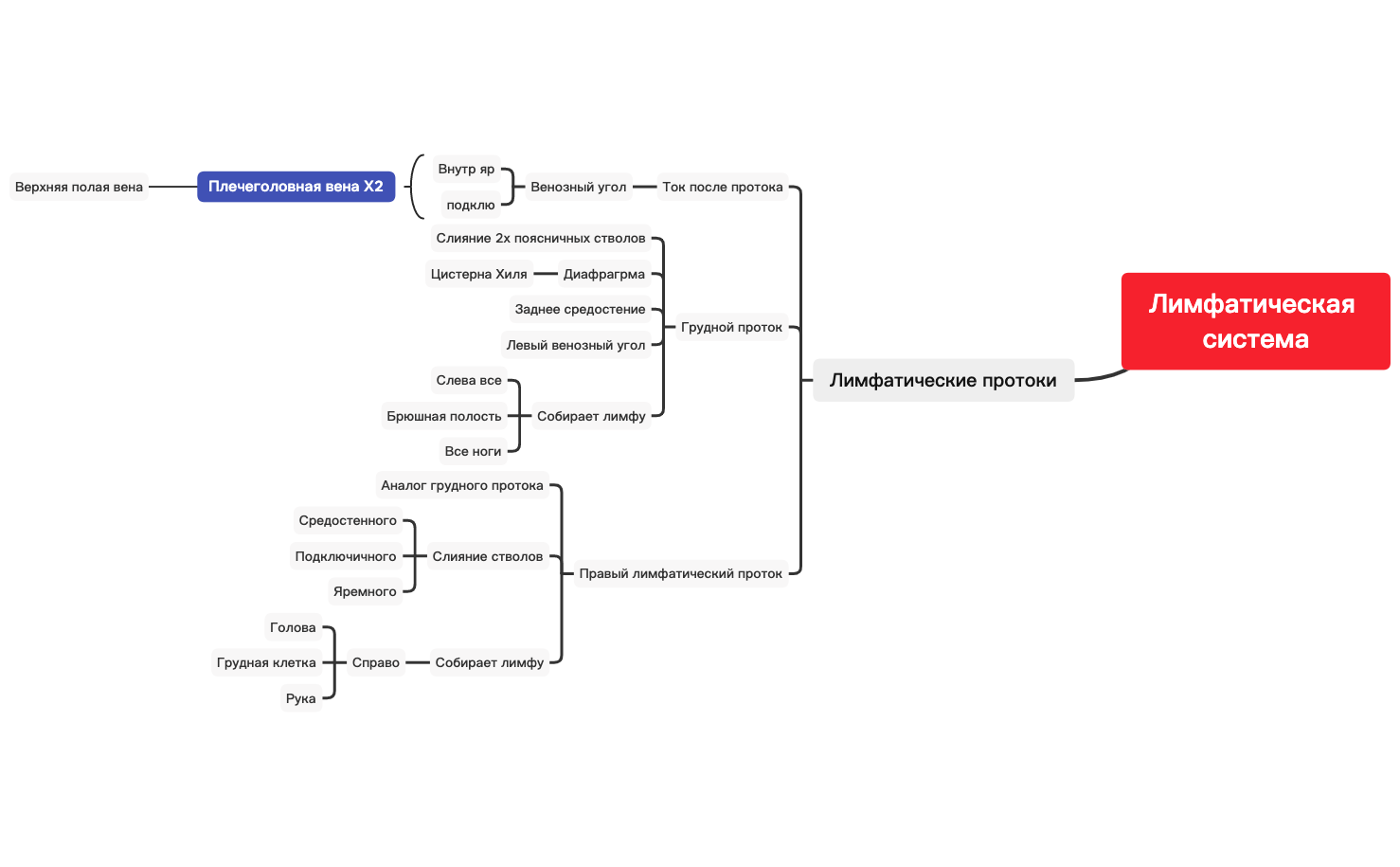 Лимфатические протоки preview 1