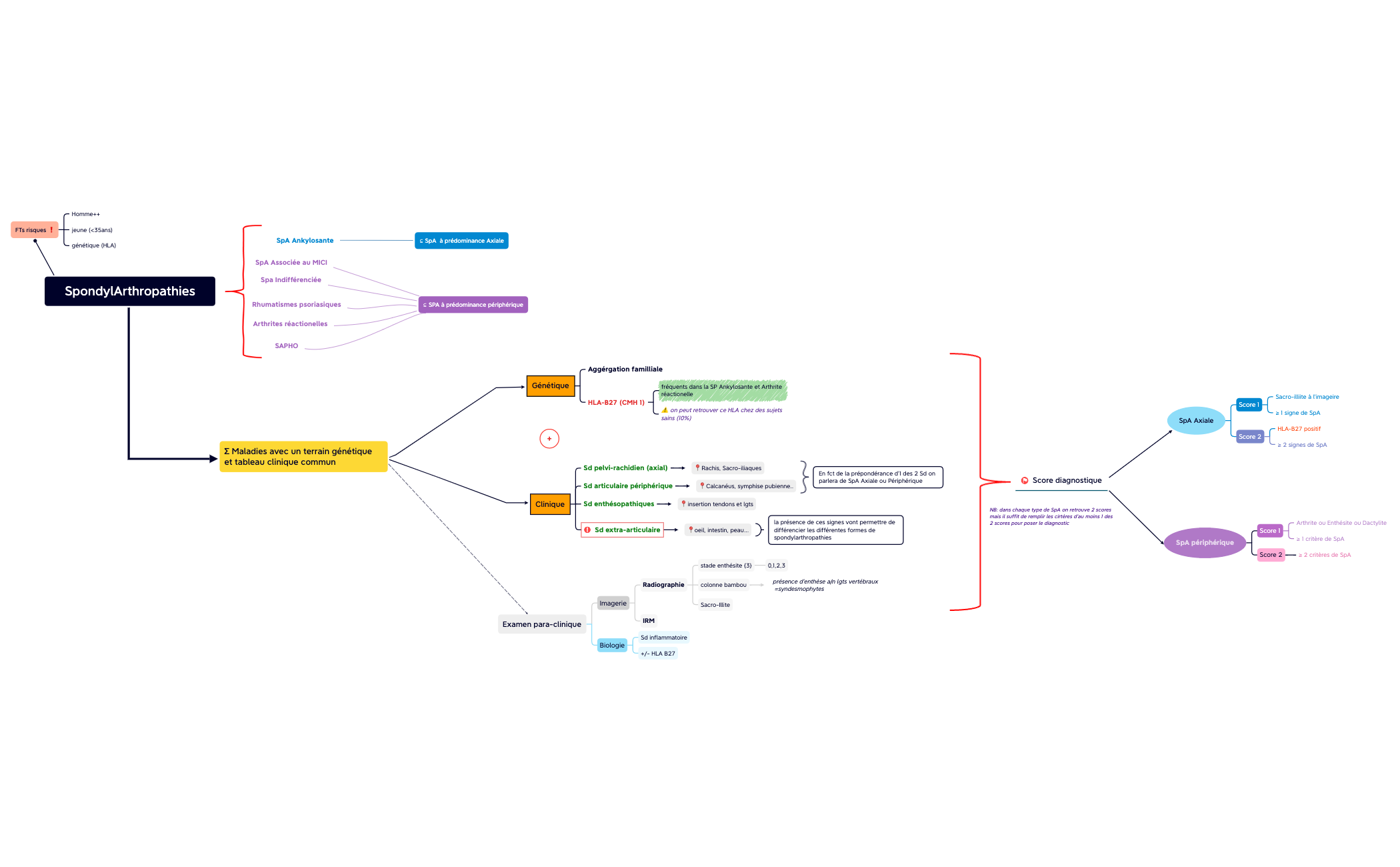 SpondylArthropathies (version longue) preview 1