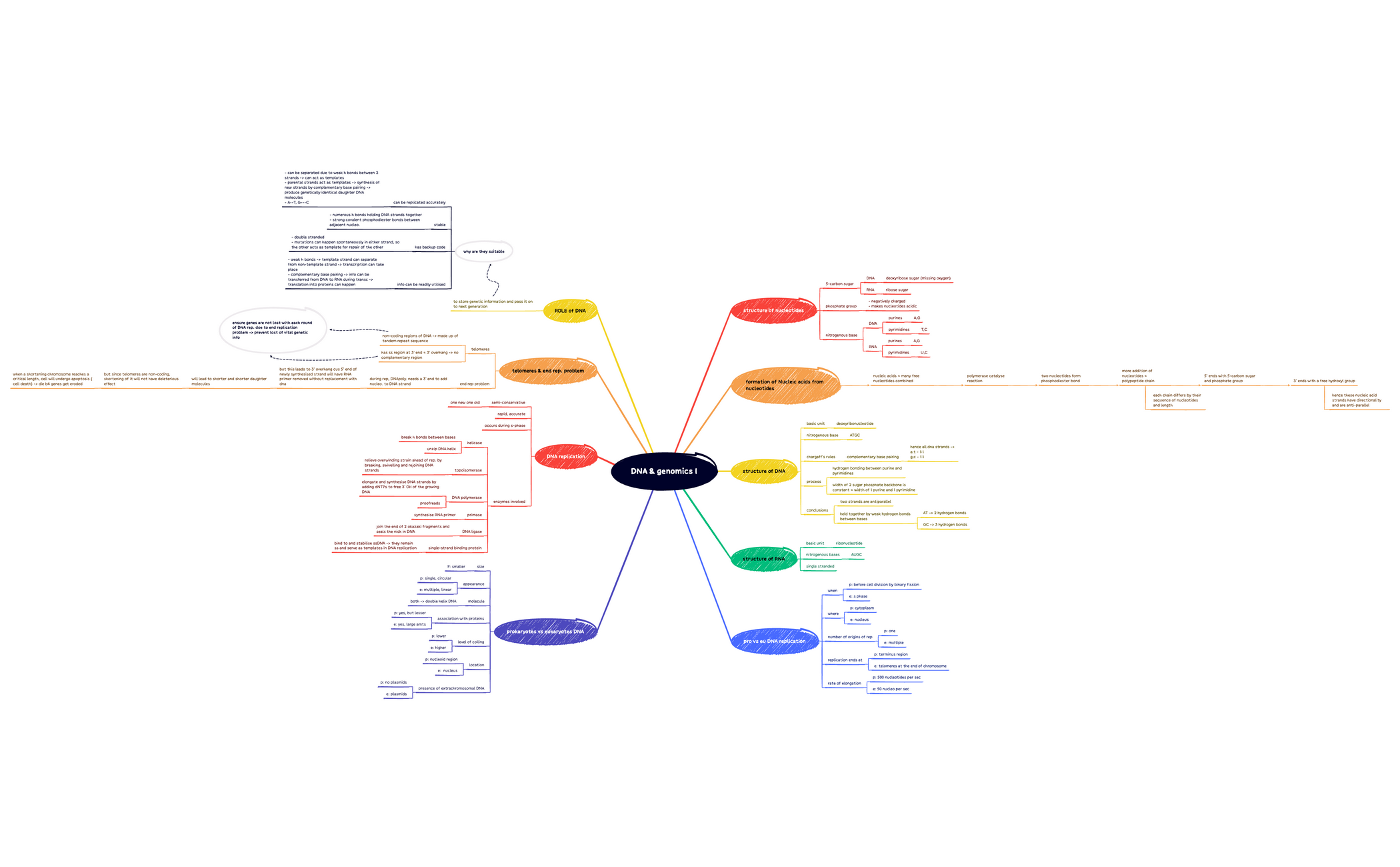 DNA & genomics I.xmind preview 1
