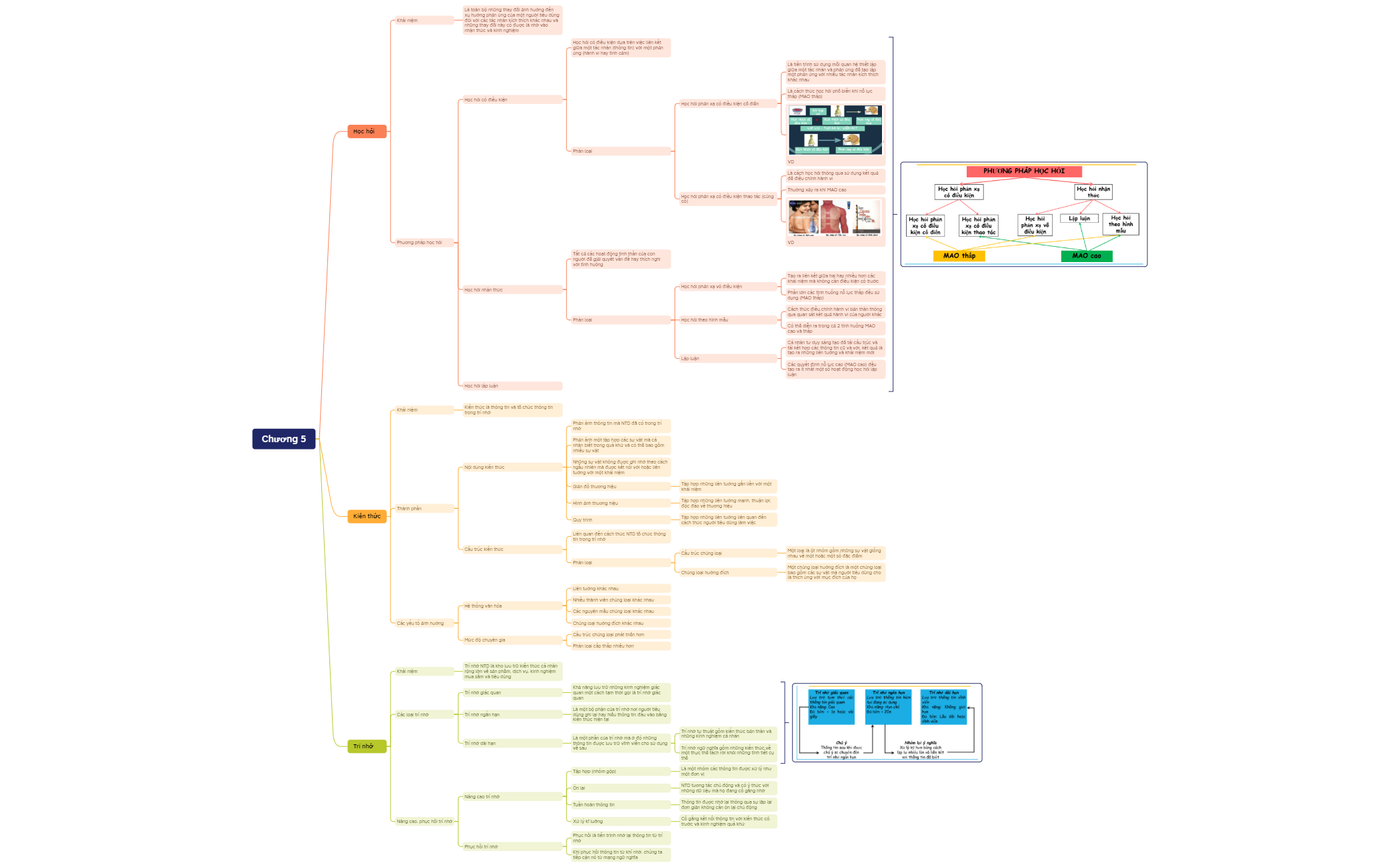 Vi Mind Map MINDMAP- Hành vi người tiêu dùng - XMind Template