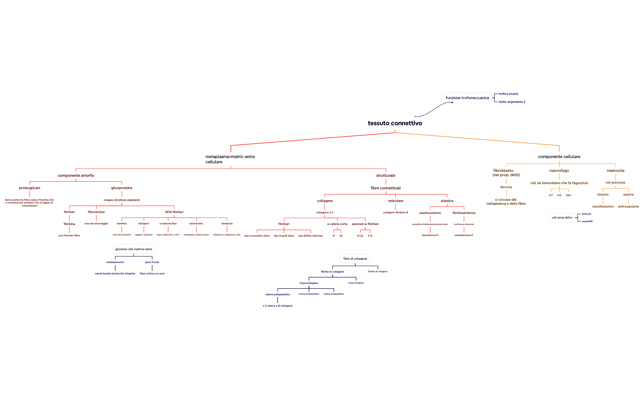 Mappa mentale preview 1
