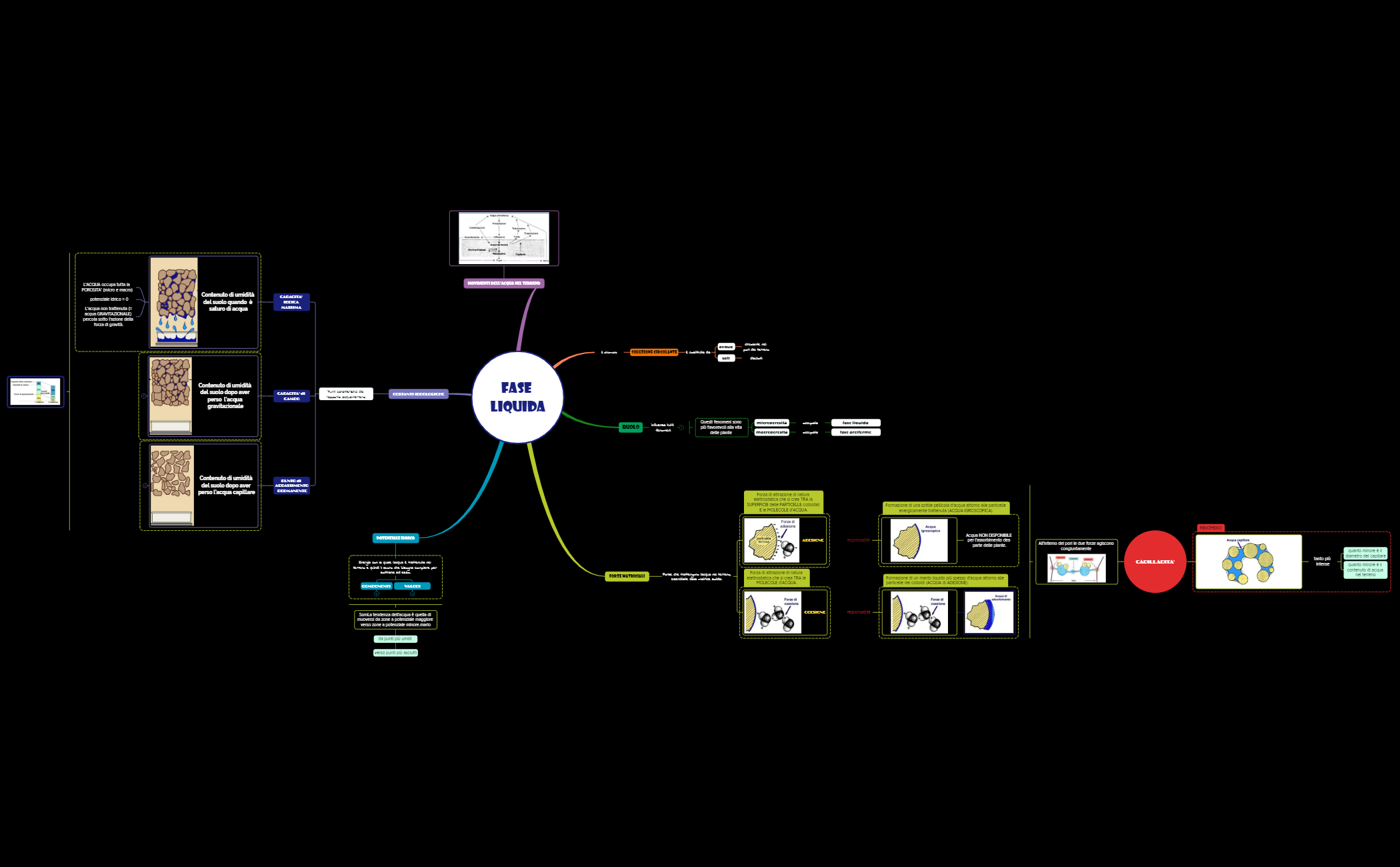 4_TERRENO AGRARIO_fase LIQUIDA preview 1