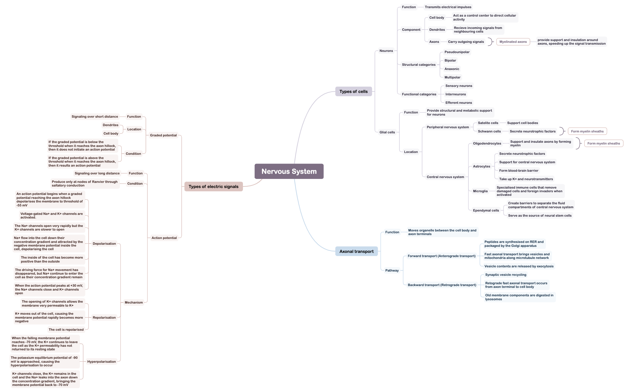Nervous System preview 1