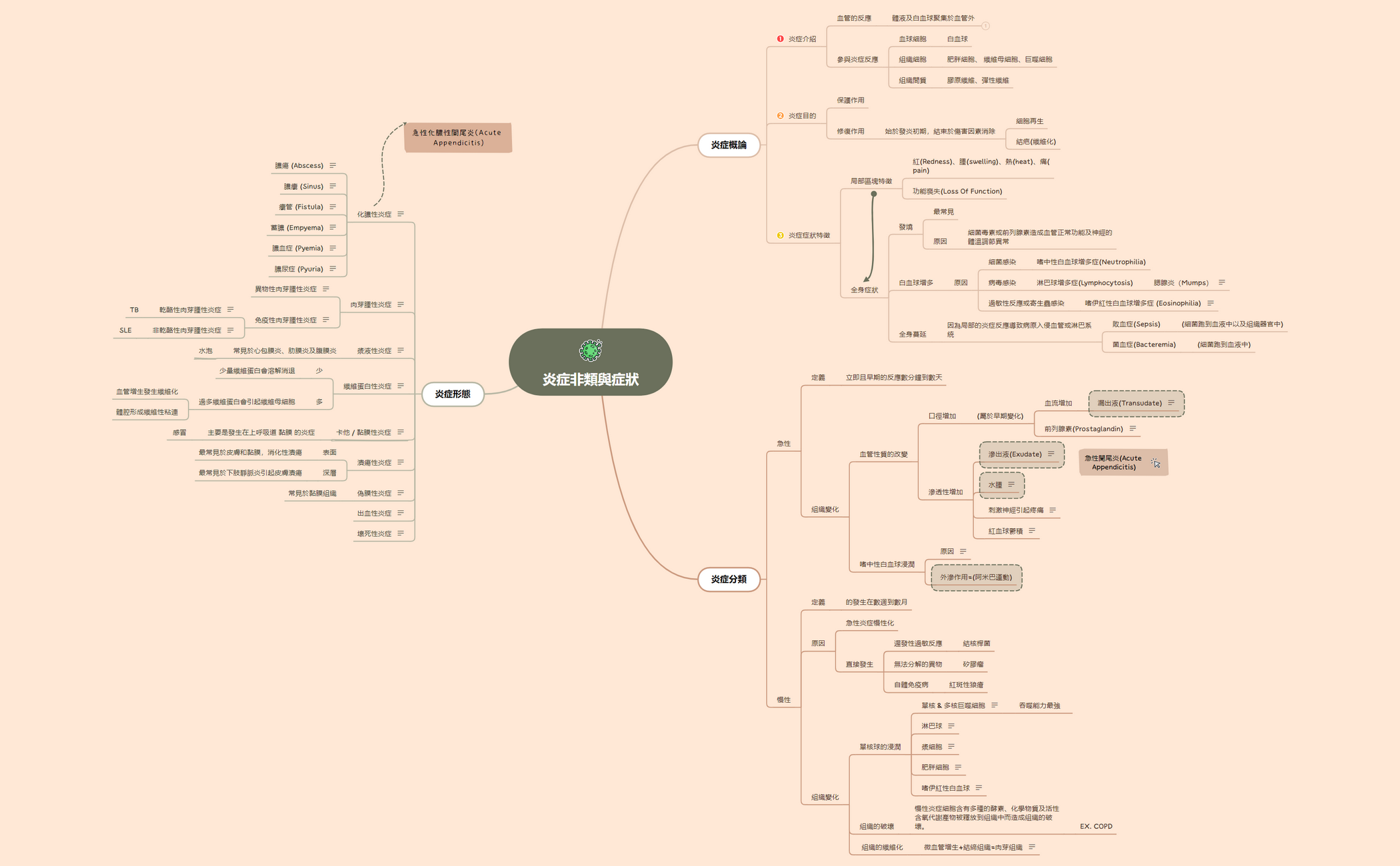 炎症分類與症狀炎症分類與症狀 (3) - XMind Template