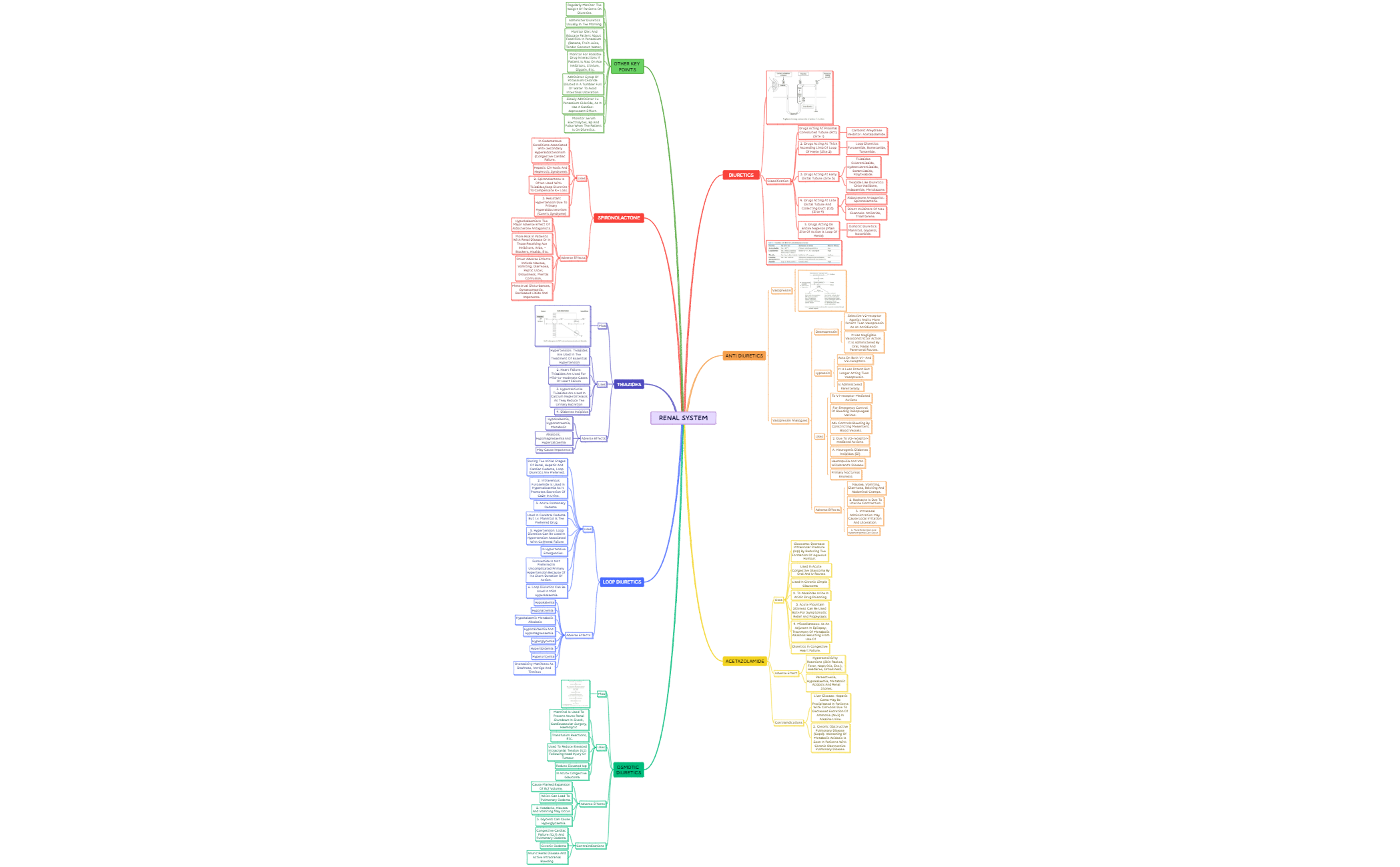 RENAL SYSTEM preview 1