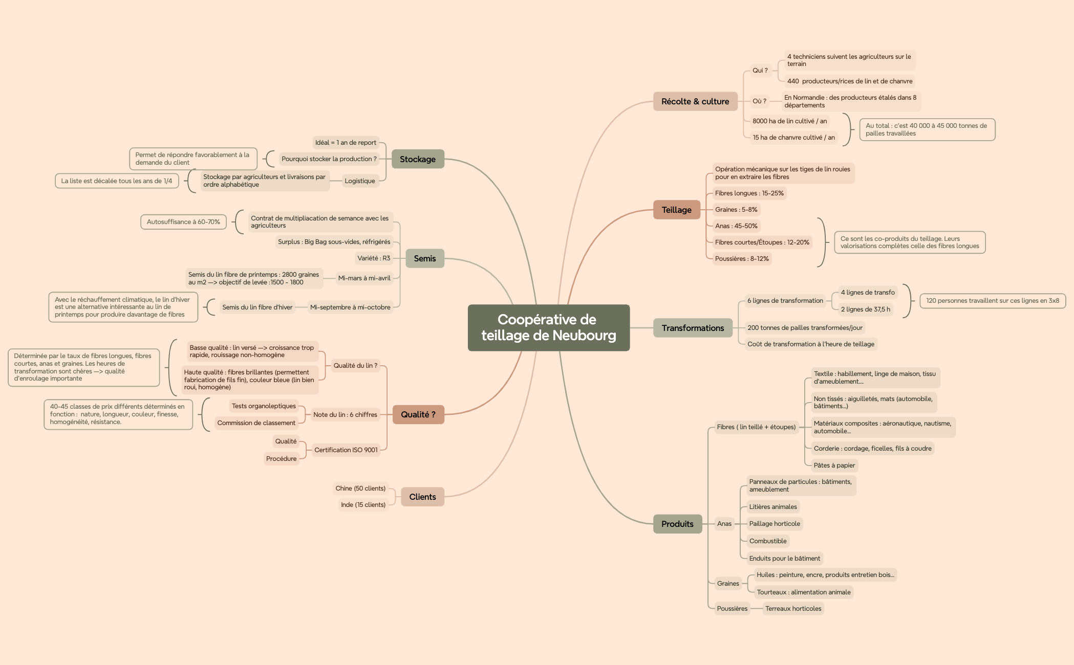 Carte mentale de logique preview 1