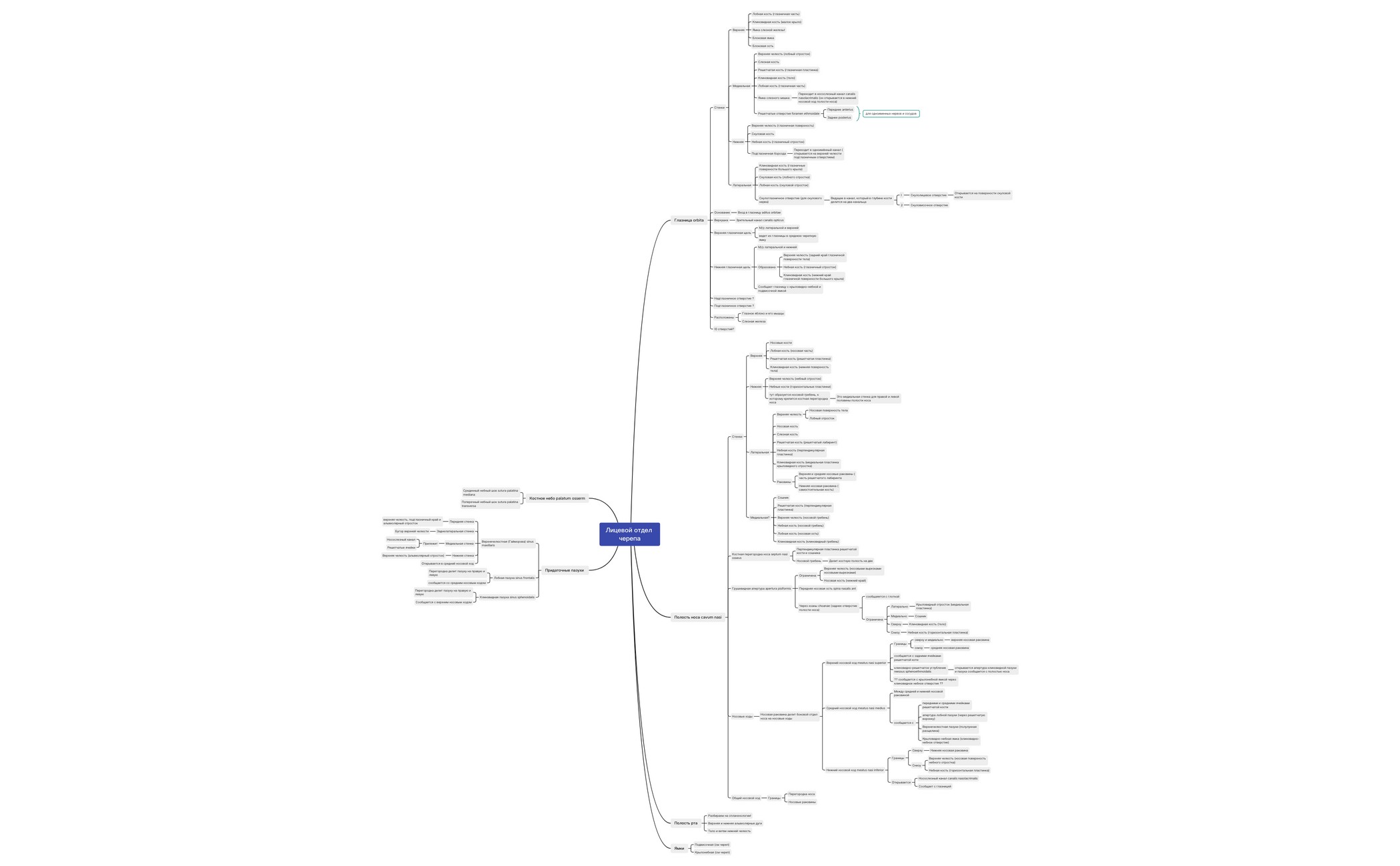 Лицевой отдел черепа preview 1