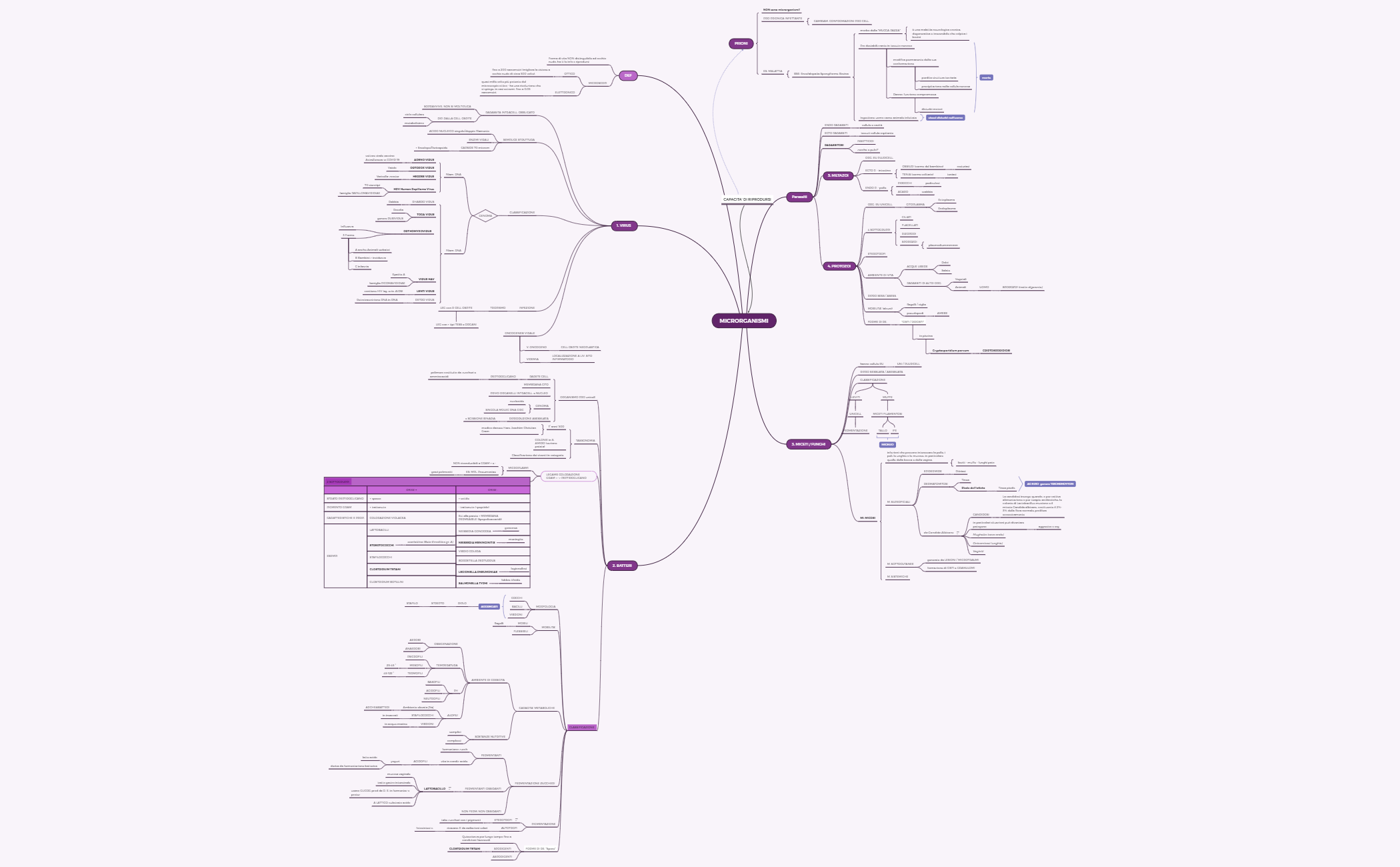 MICRORGANISMI preview 1