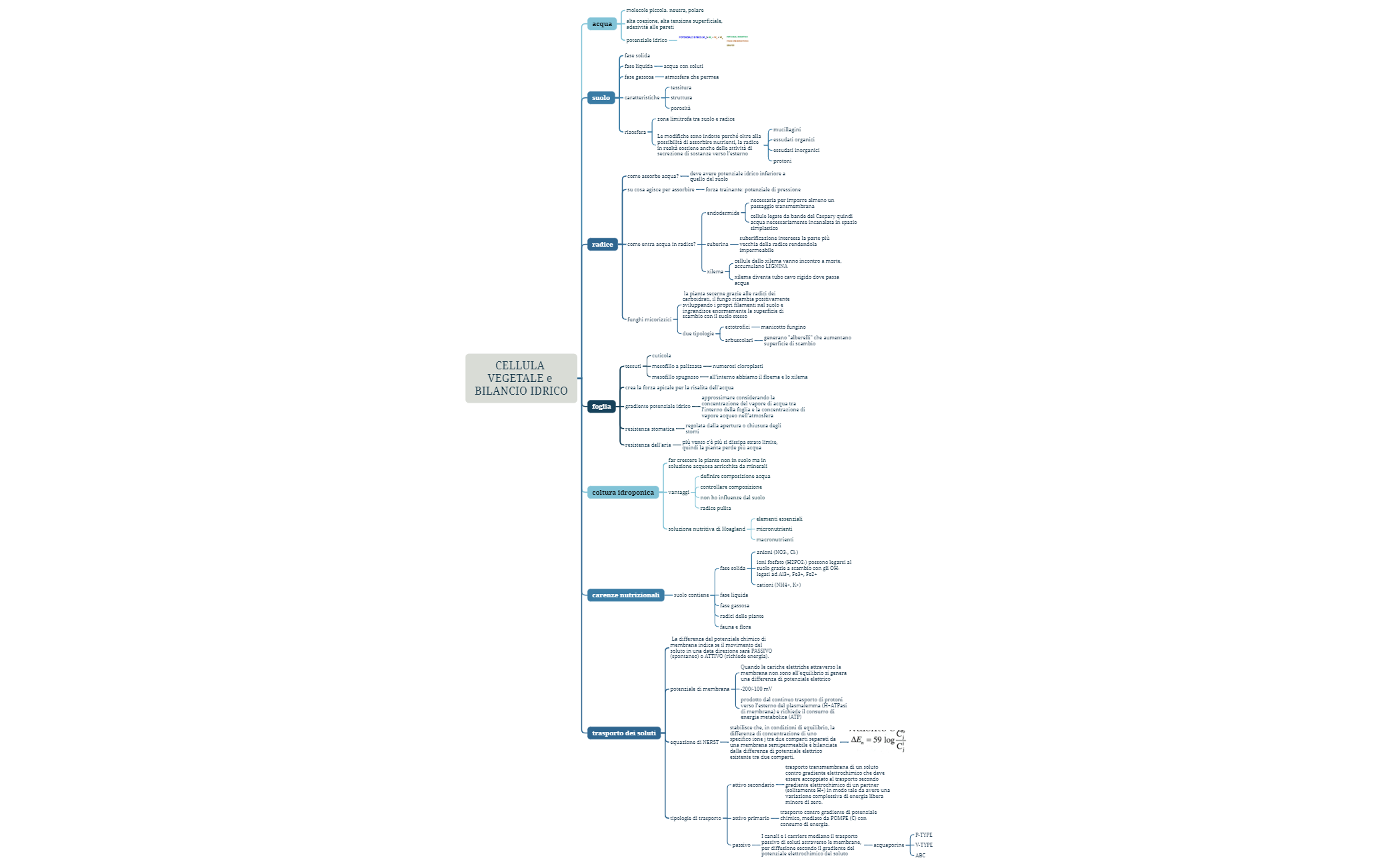 Grafico logico preview 1