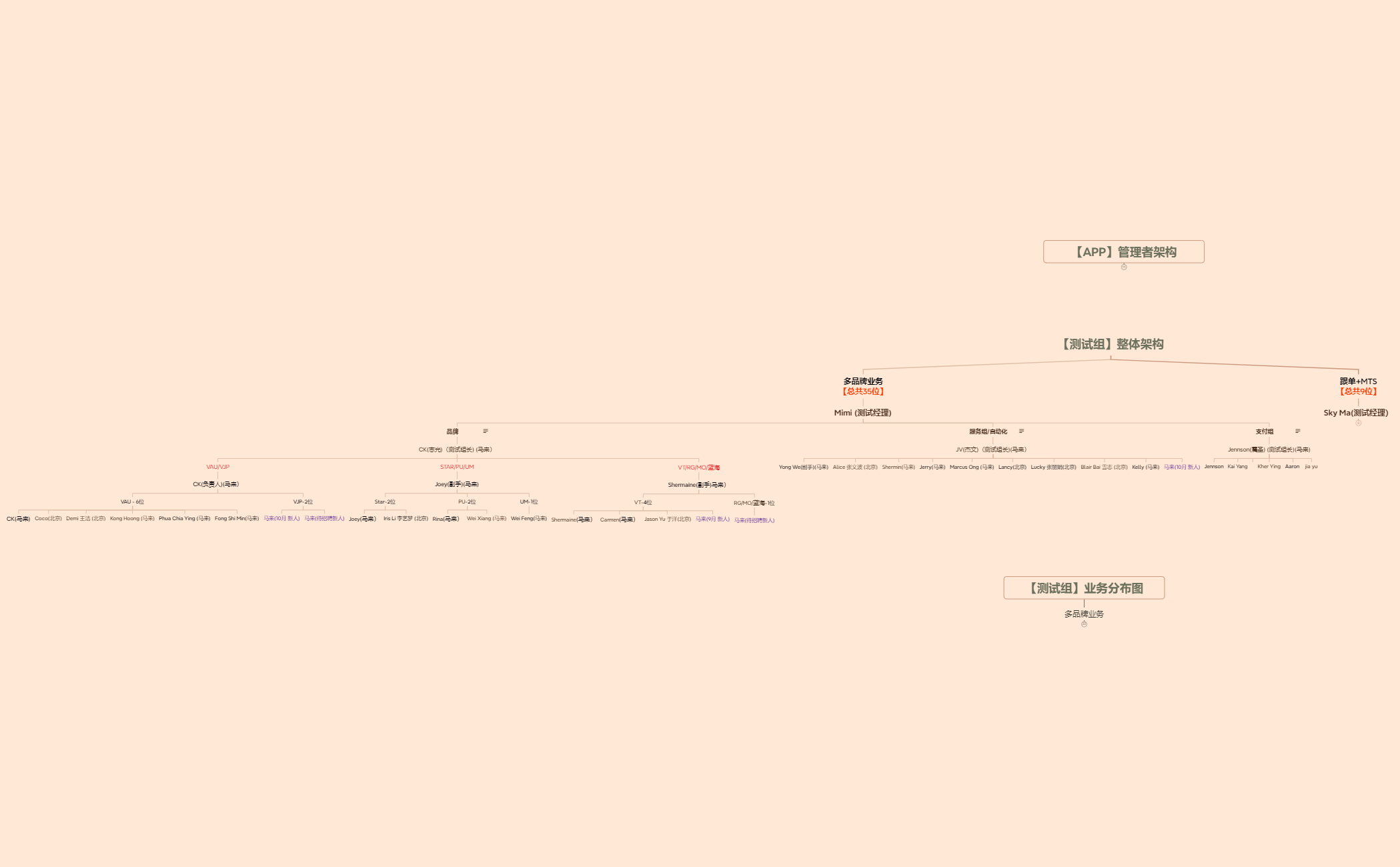 Company Structure - XMind Template